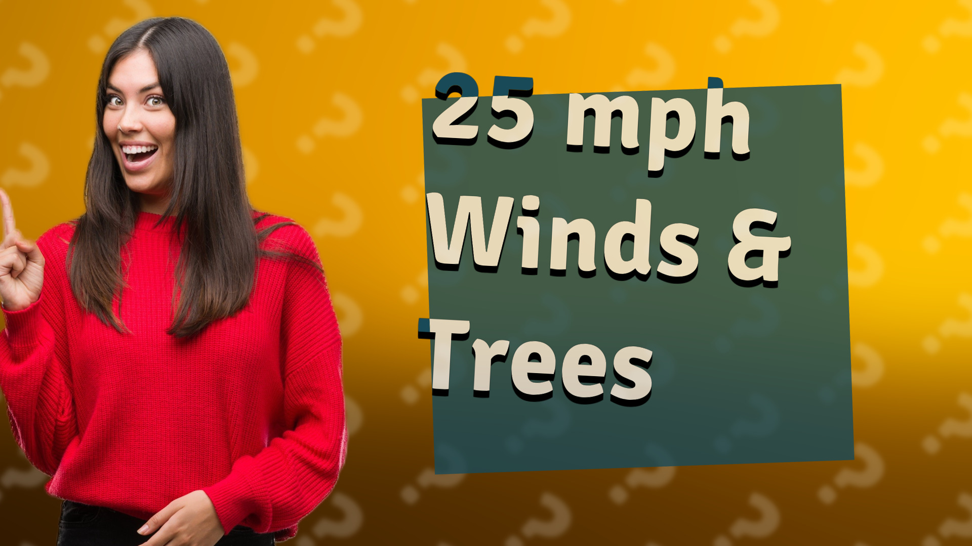 25 mph Winds & Trees