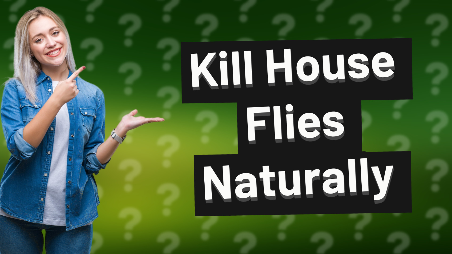 Kill House Flies Naturally