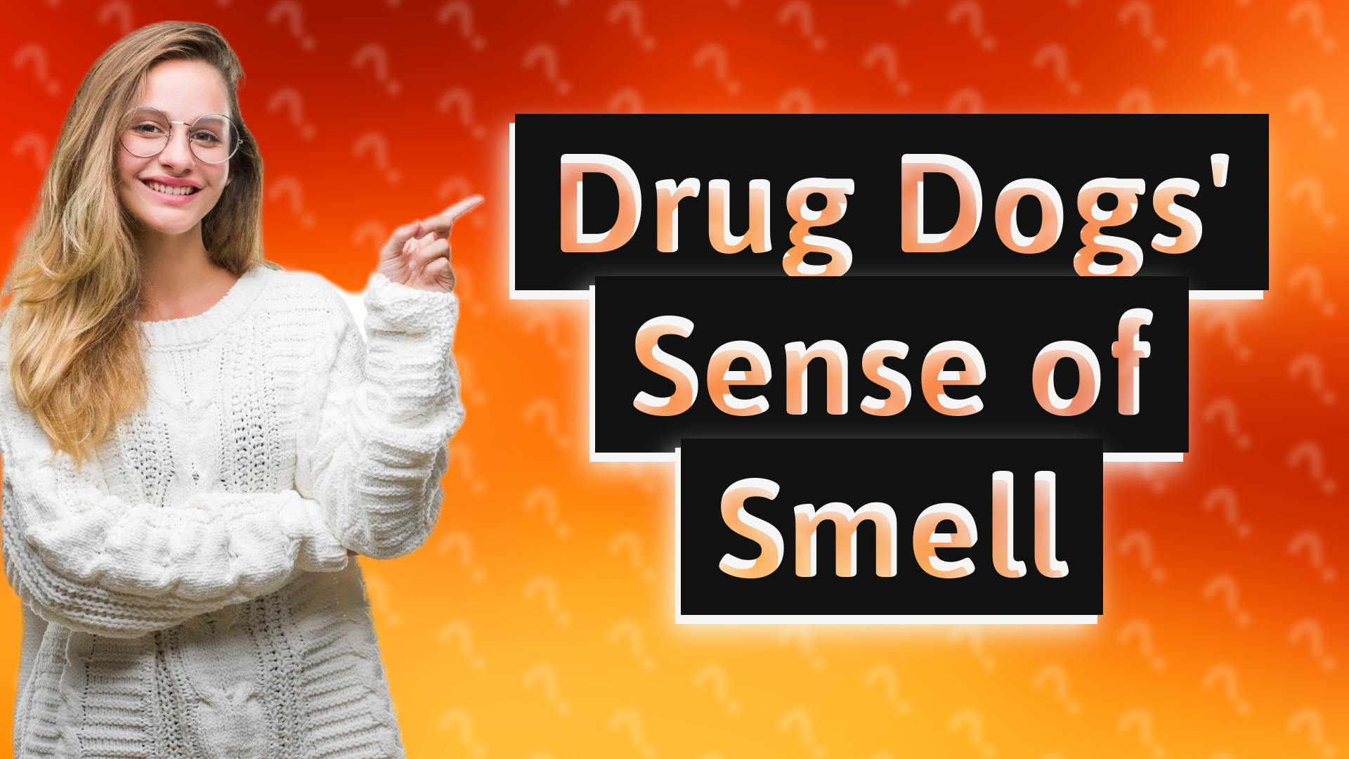 Drug Dogs' Sense of Smell