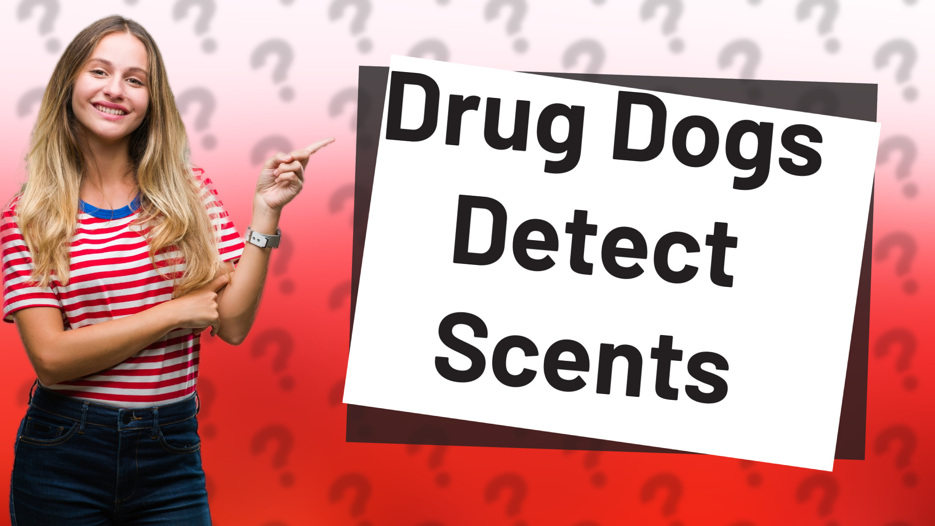 Drug Dogs Detect Scents
