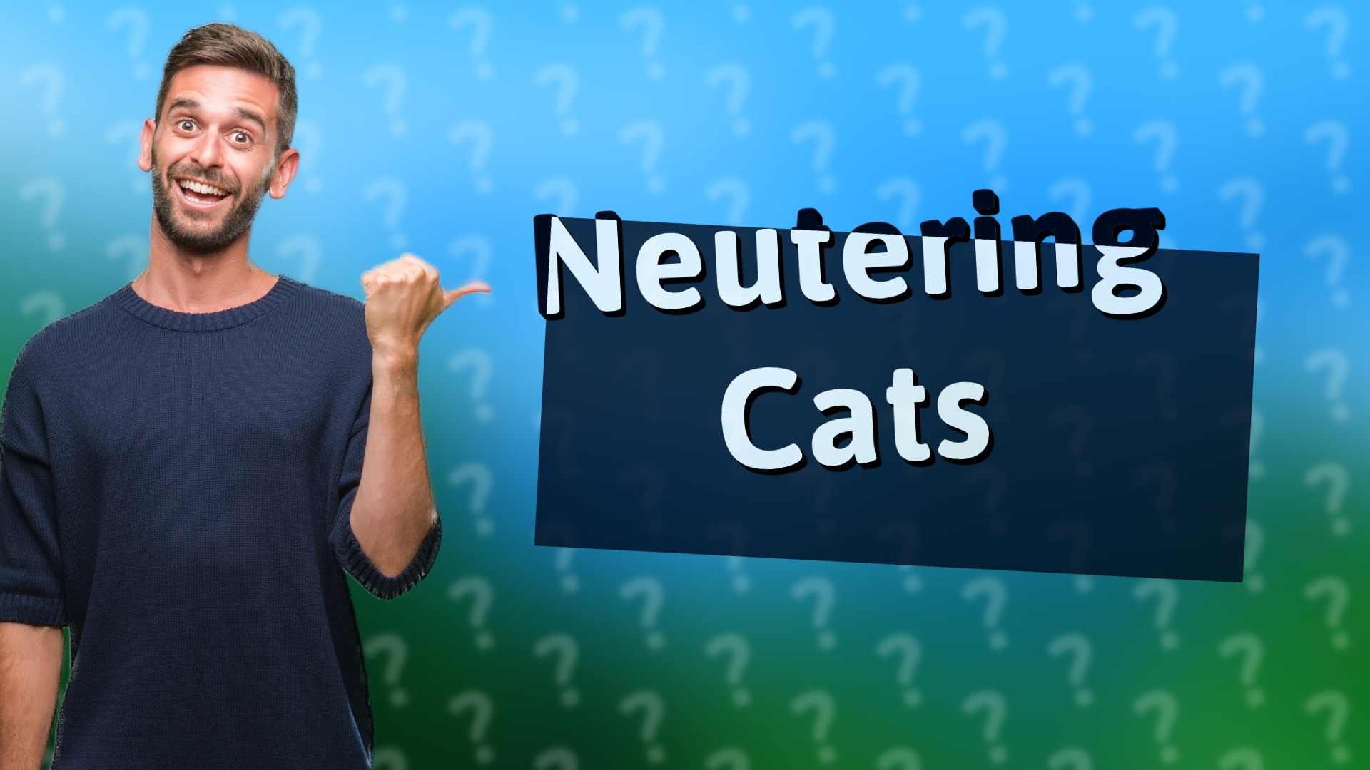 Neutering Cats