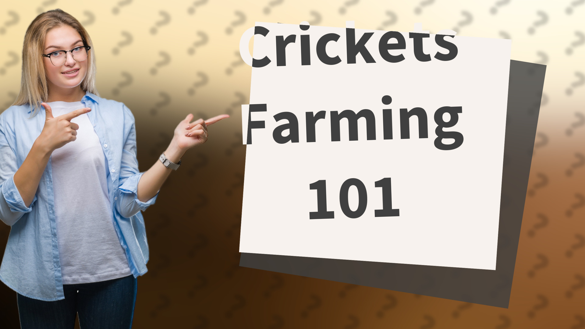 Crickets Farming 101