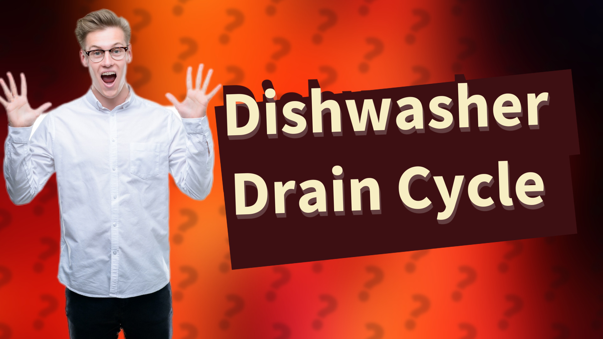 Dishwasher Drain Cycle