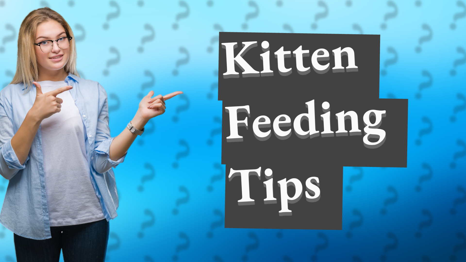 Kitten Feeding Tips