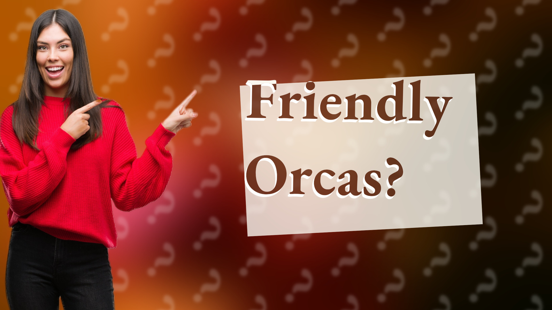 Friendly Orcas?
