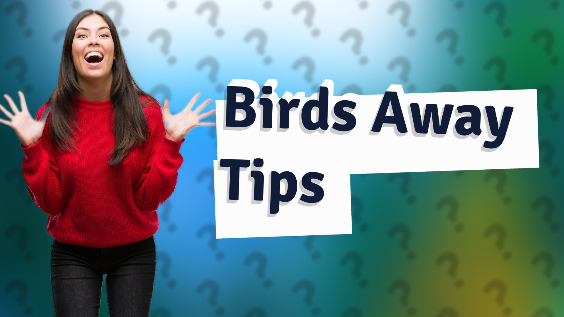 Birds Away Tips