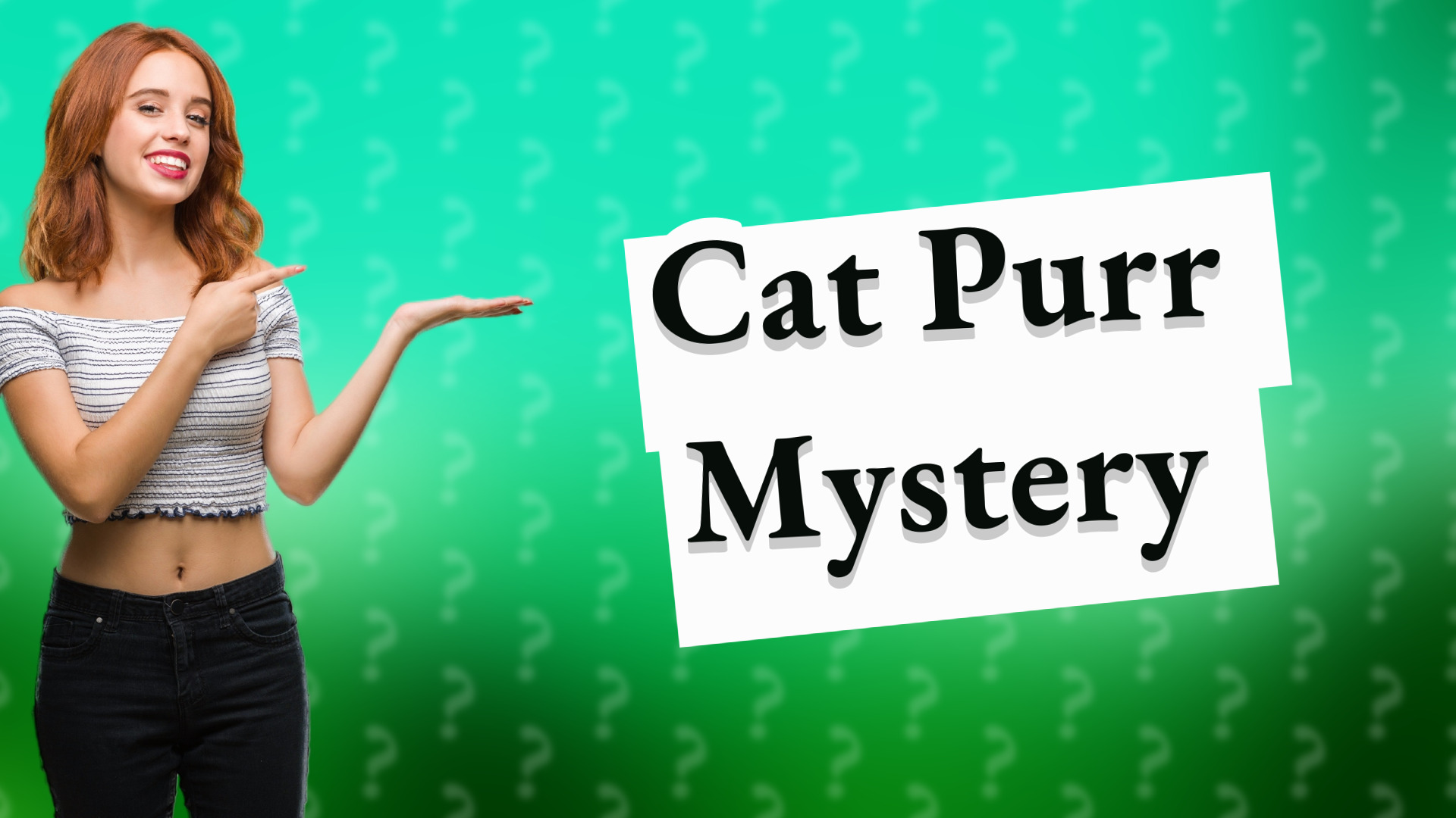 Cat Purr Mystery