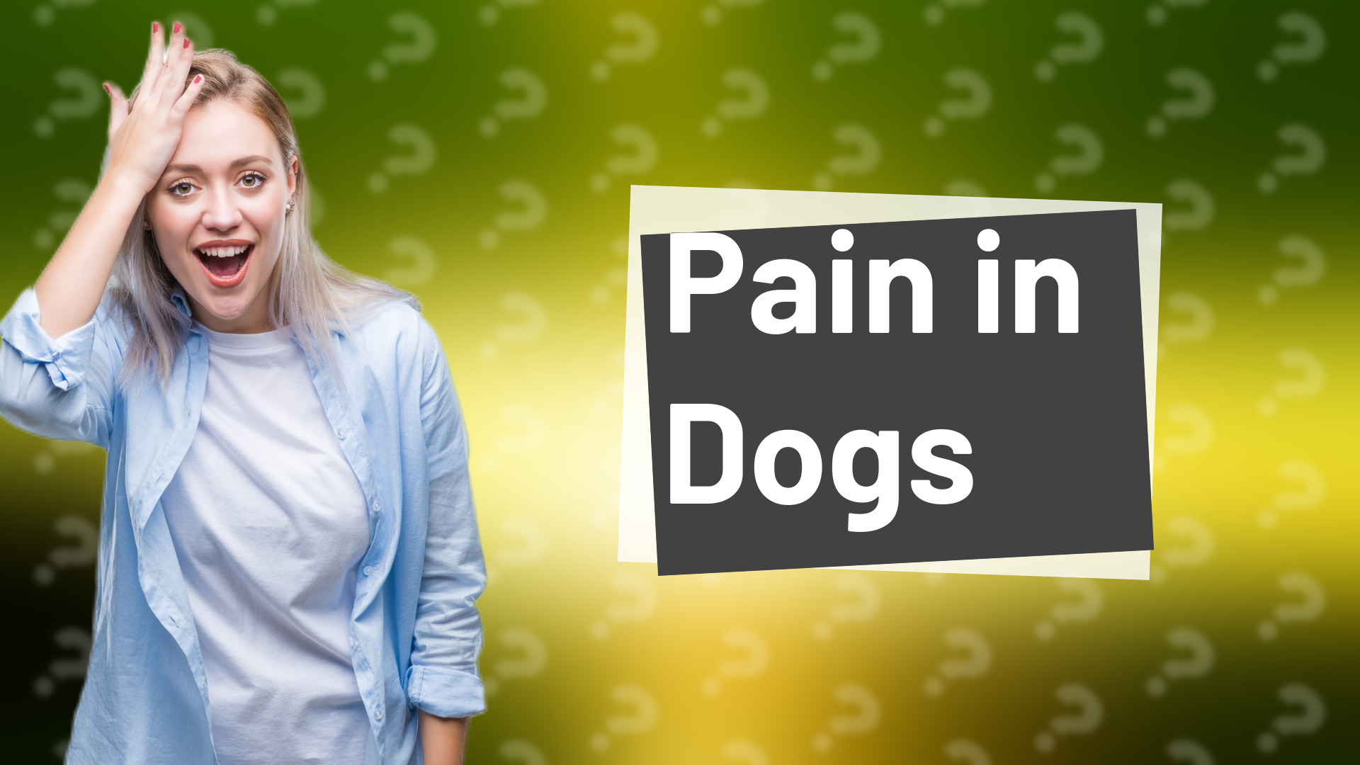 Pain in Dogs