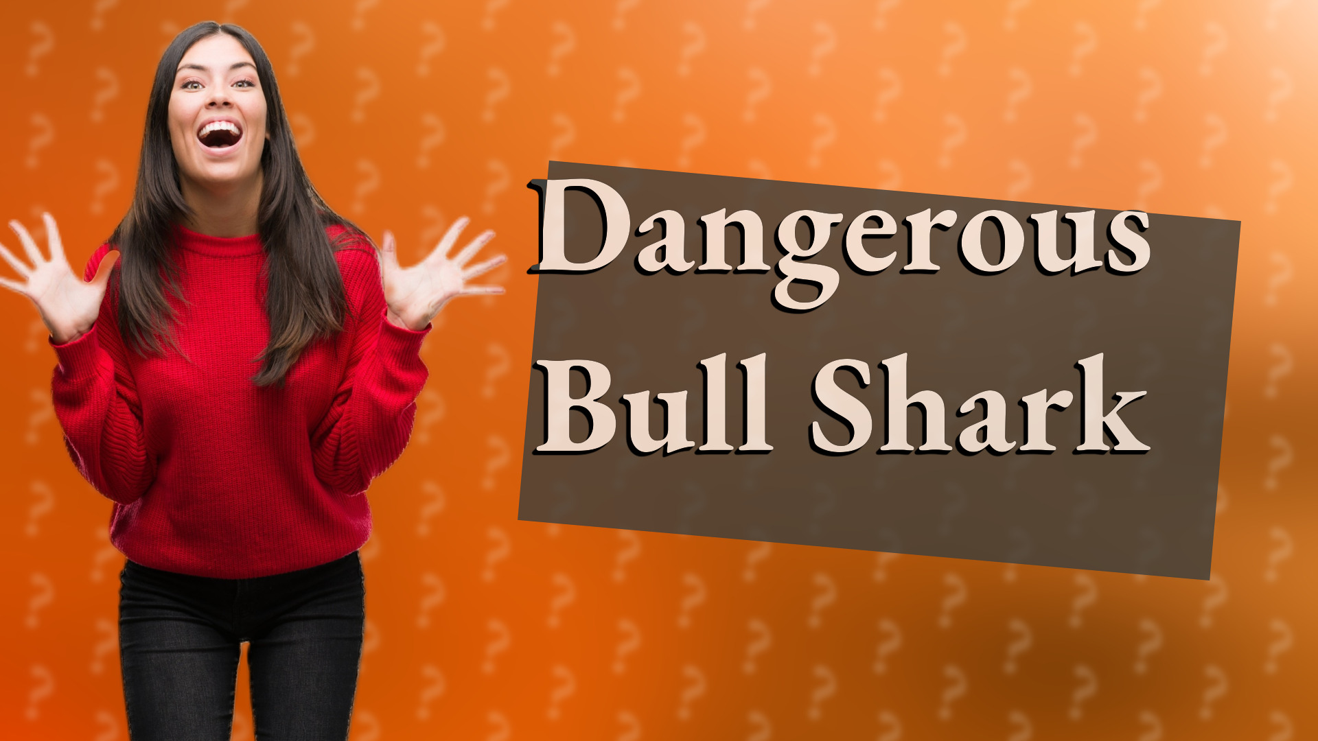Dangerous Bull Shark