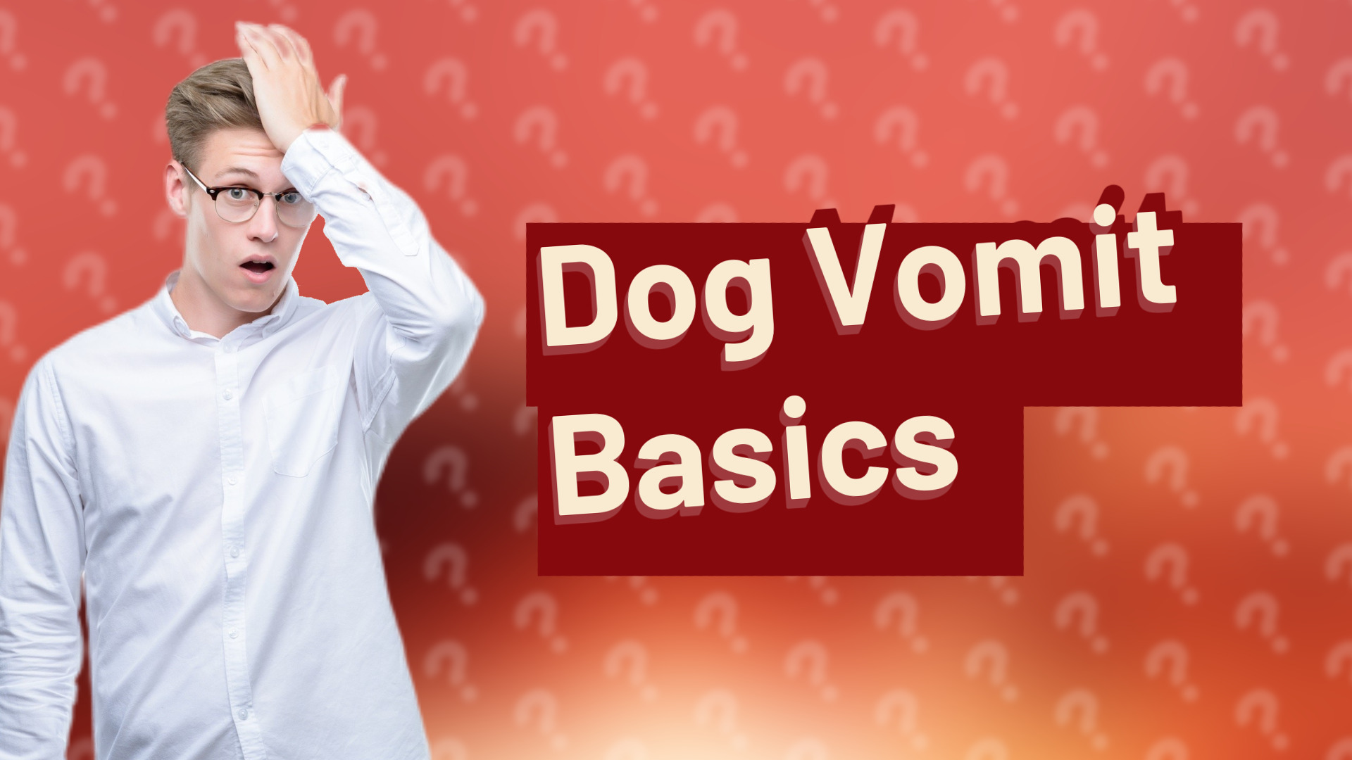 Dog Vomit Basics