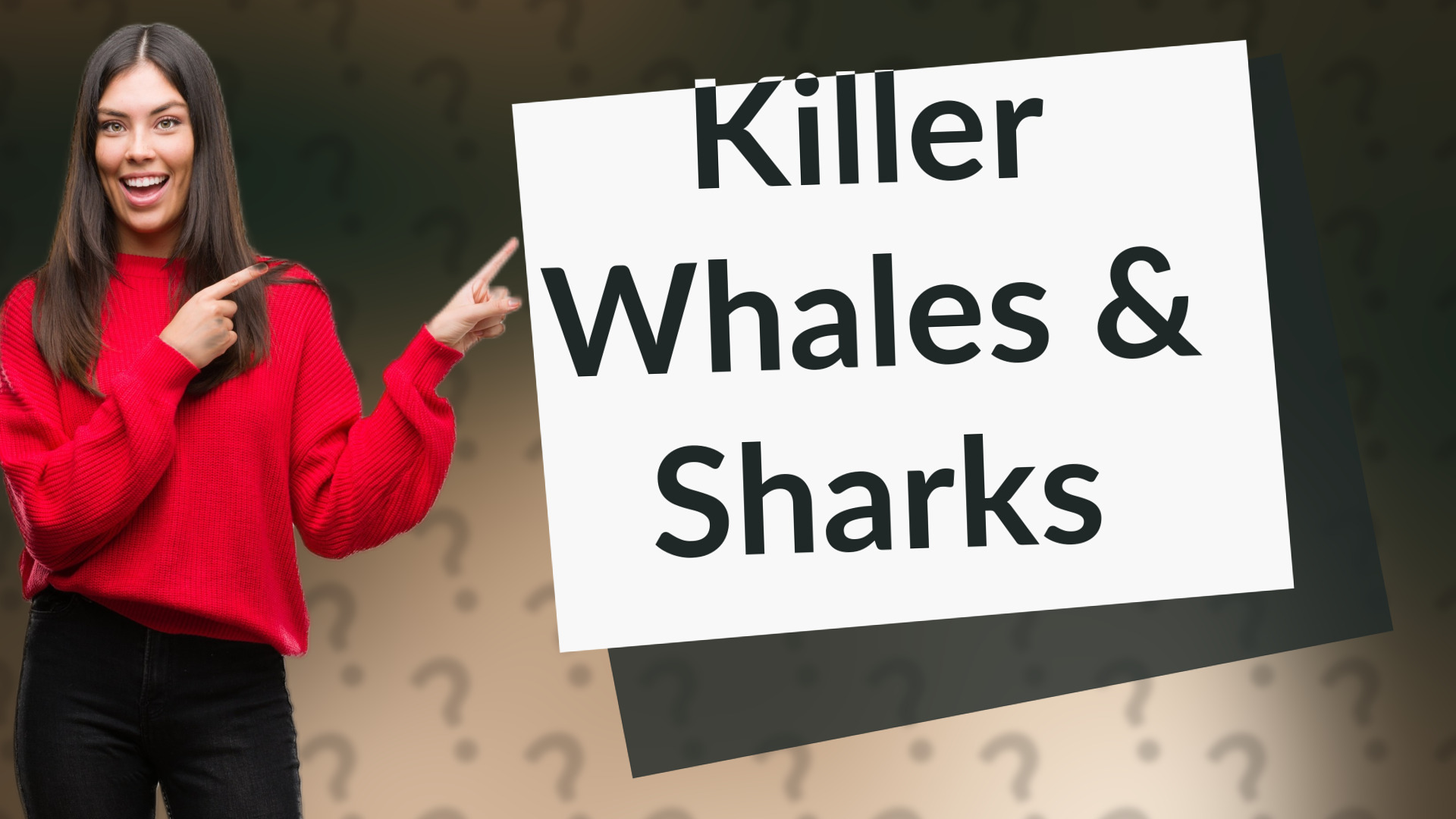 Killer Whales & Sharks