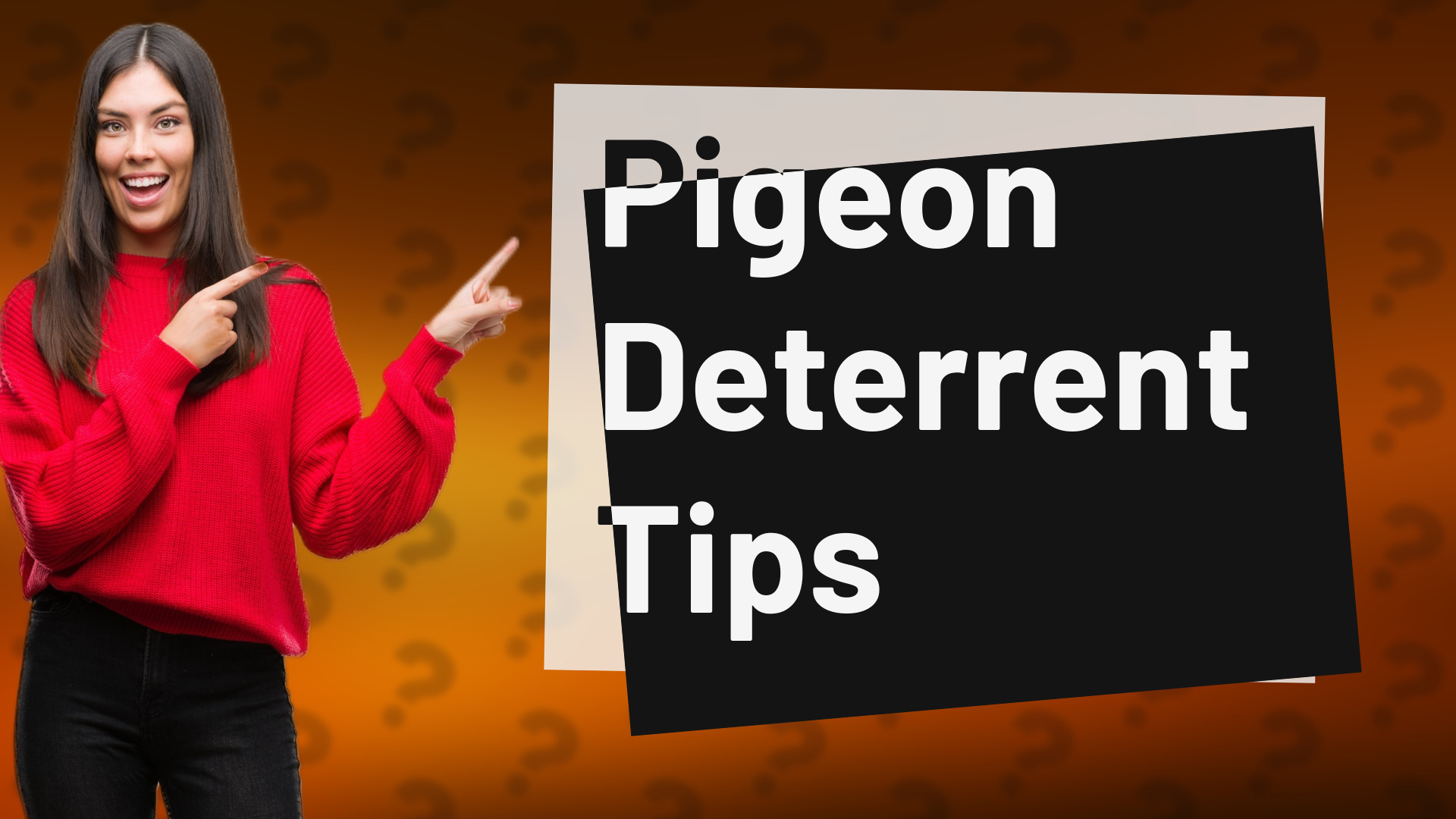 Pigeon Deterrent Tips
