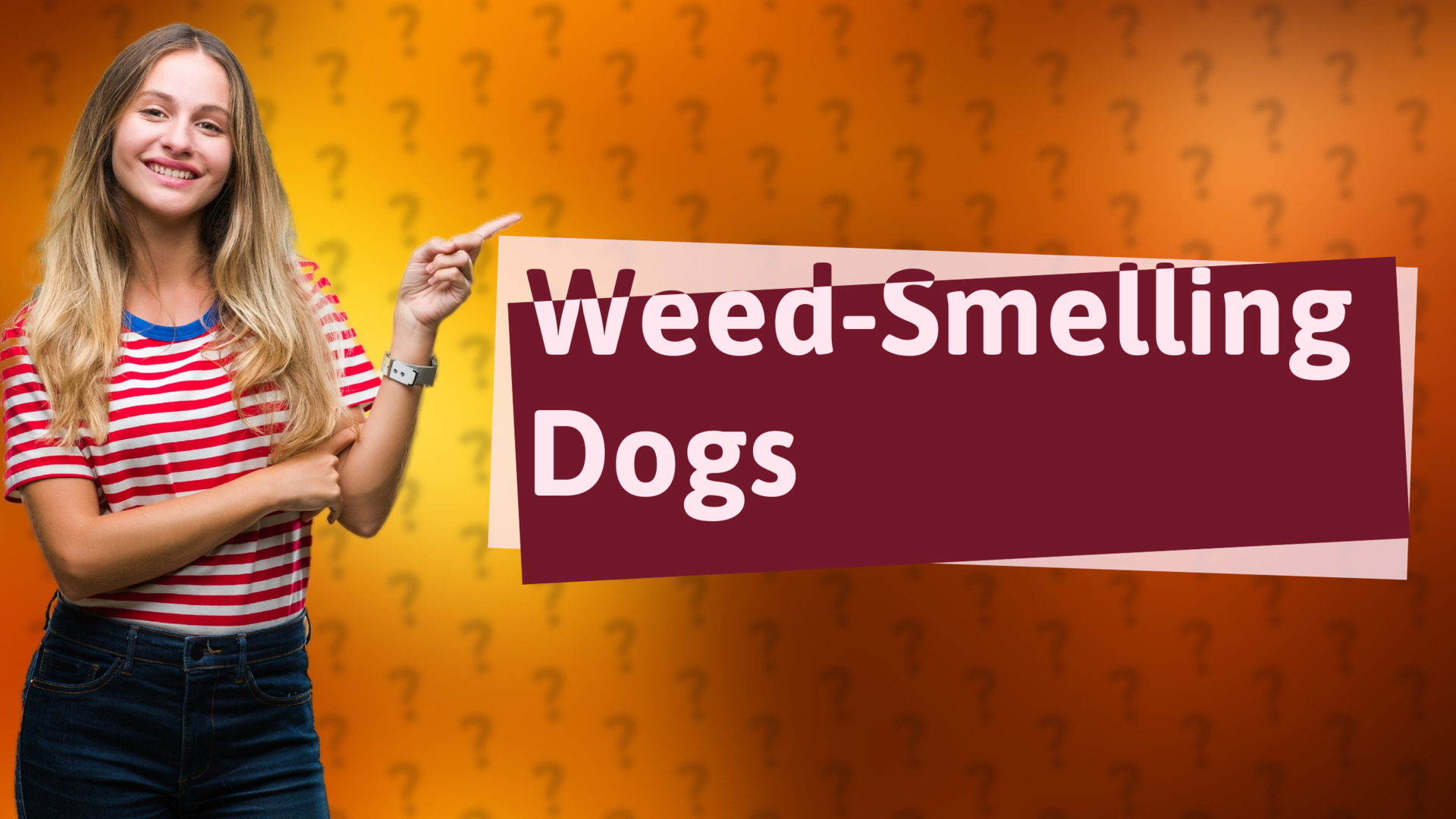 Weed-Smelling Dogs