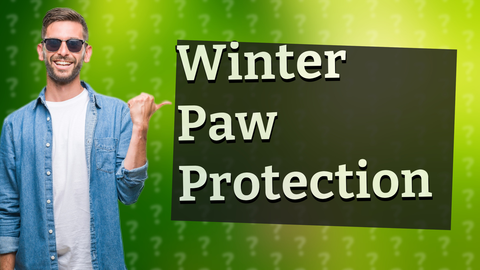 Winter Paw Protection