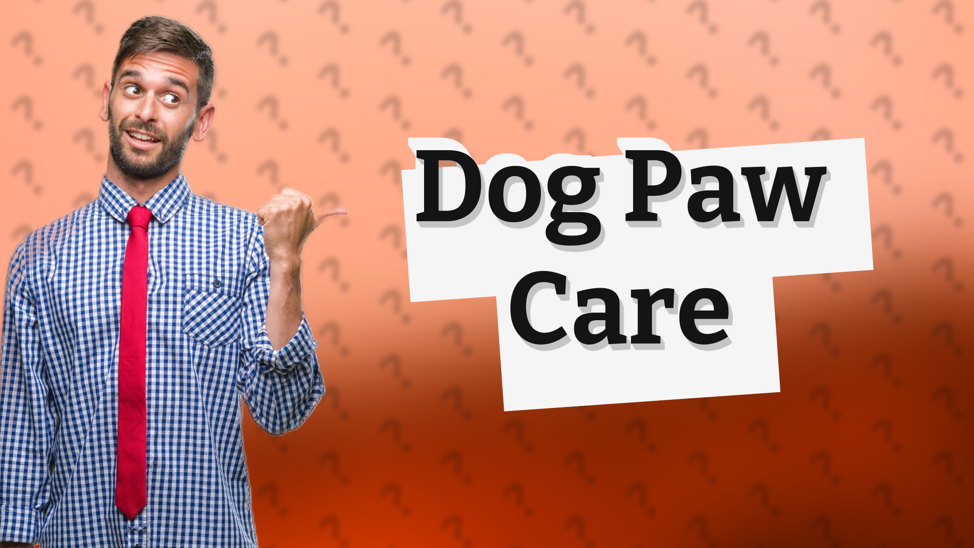 Dog Paw Care