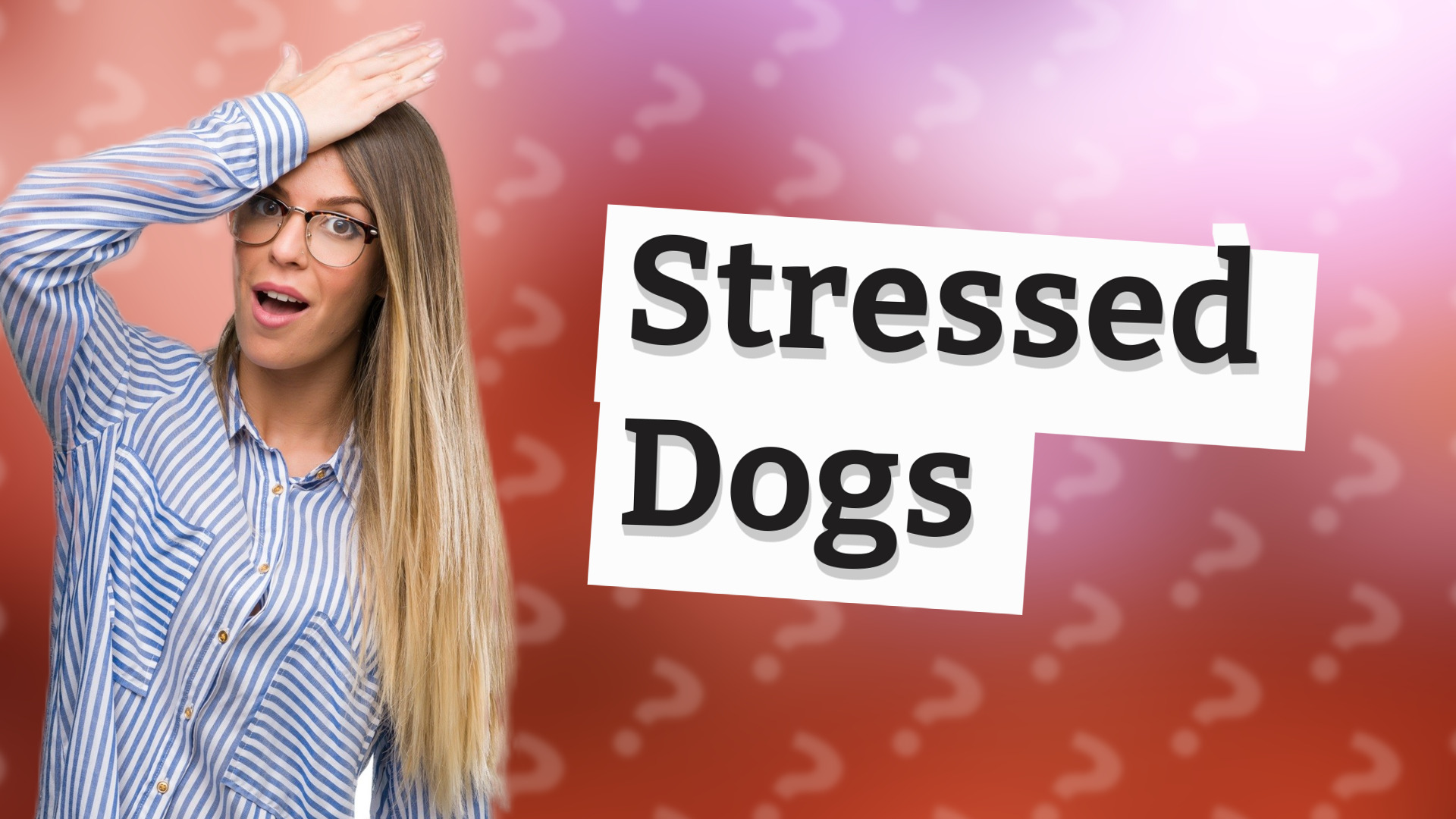 Stressed Dogs