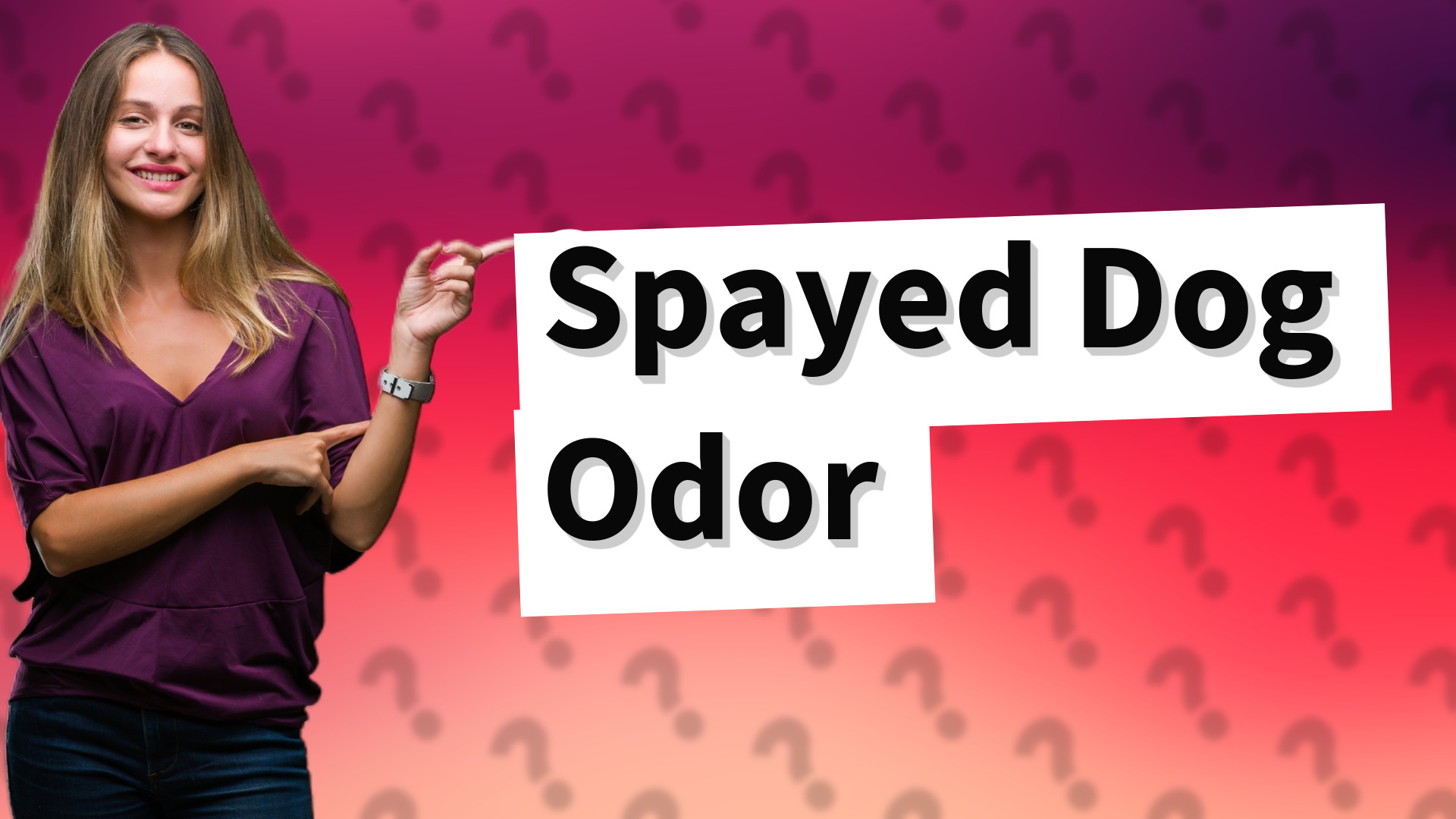 Spayed Dog Odor