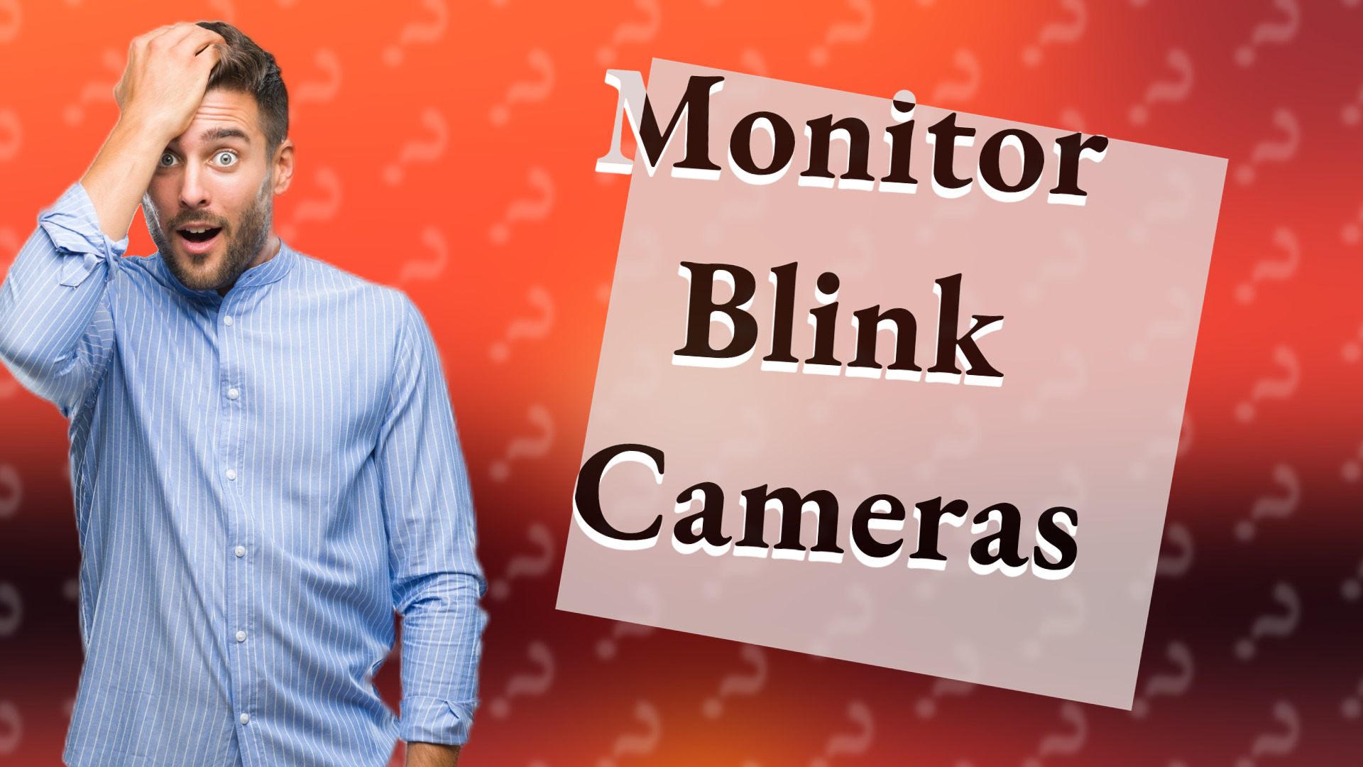 Monitor Blink Cameras