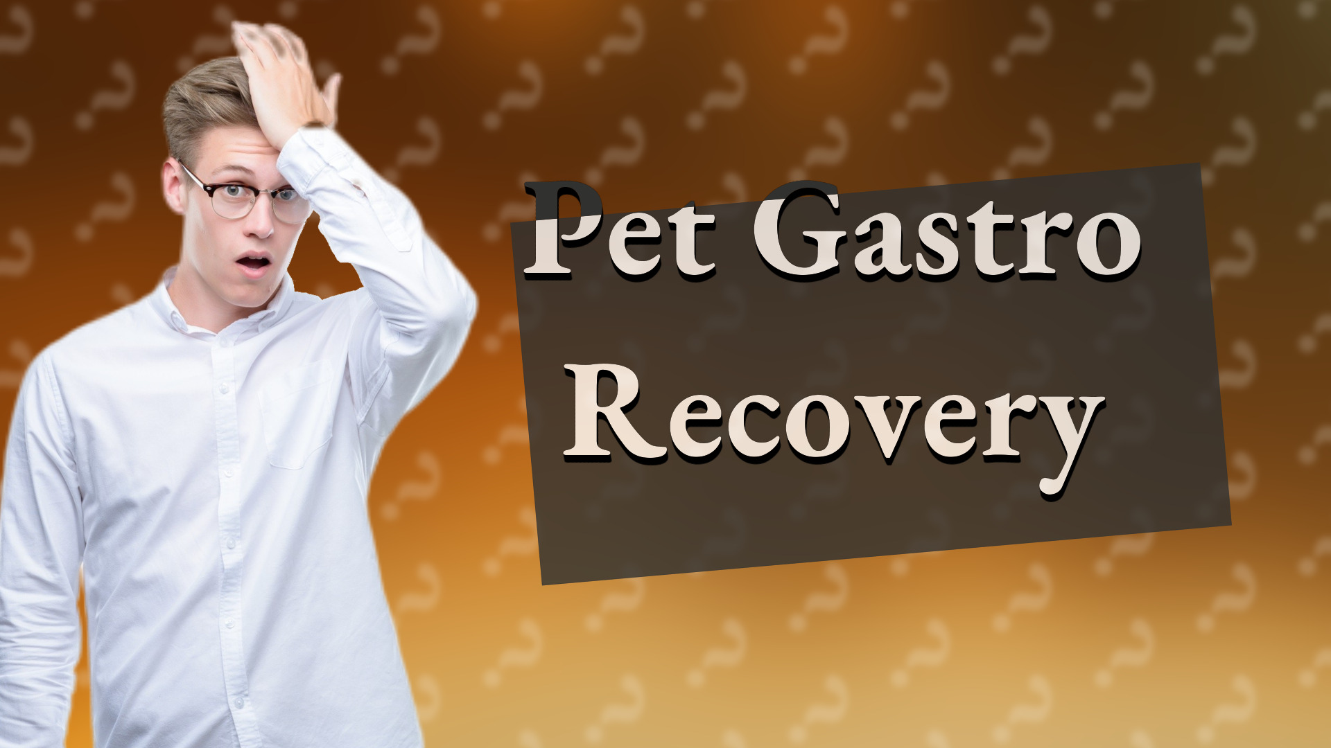 Pet Gastro Recovery