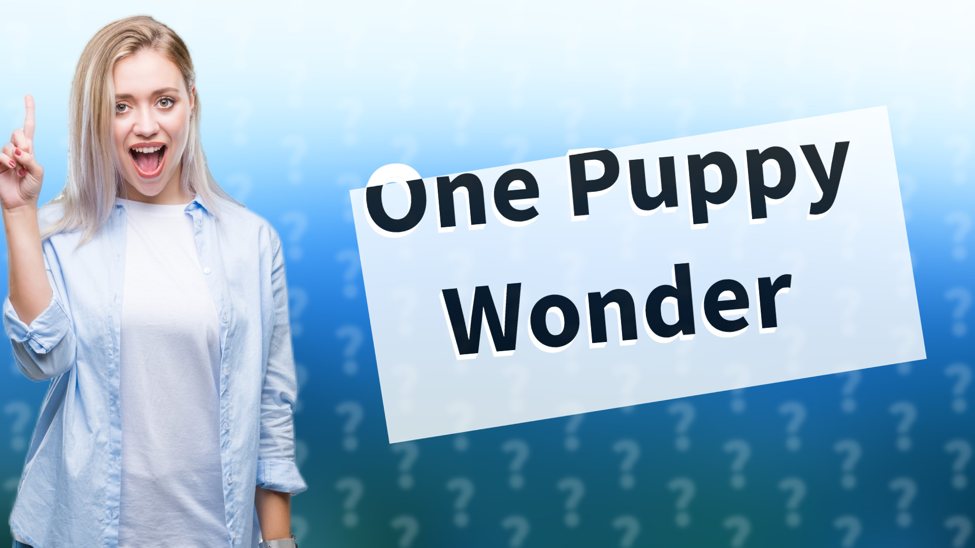 One Puppy Wonder