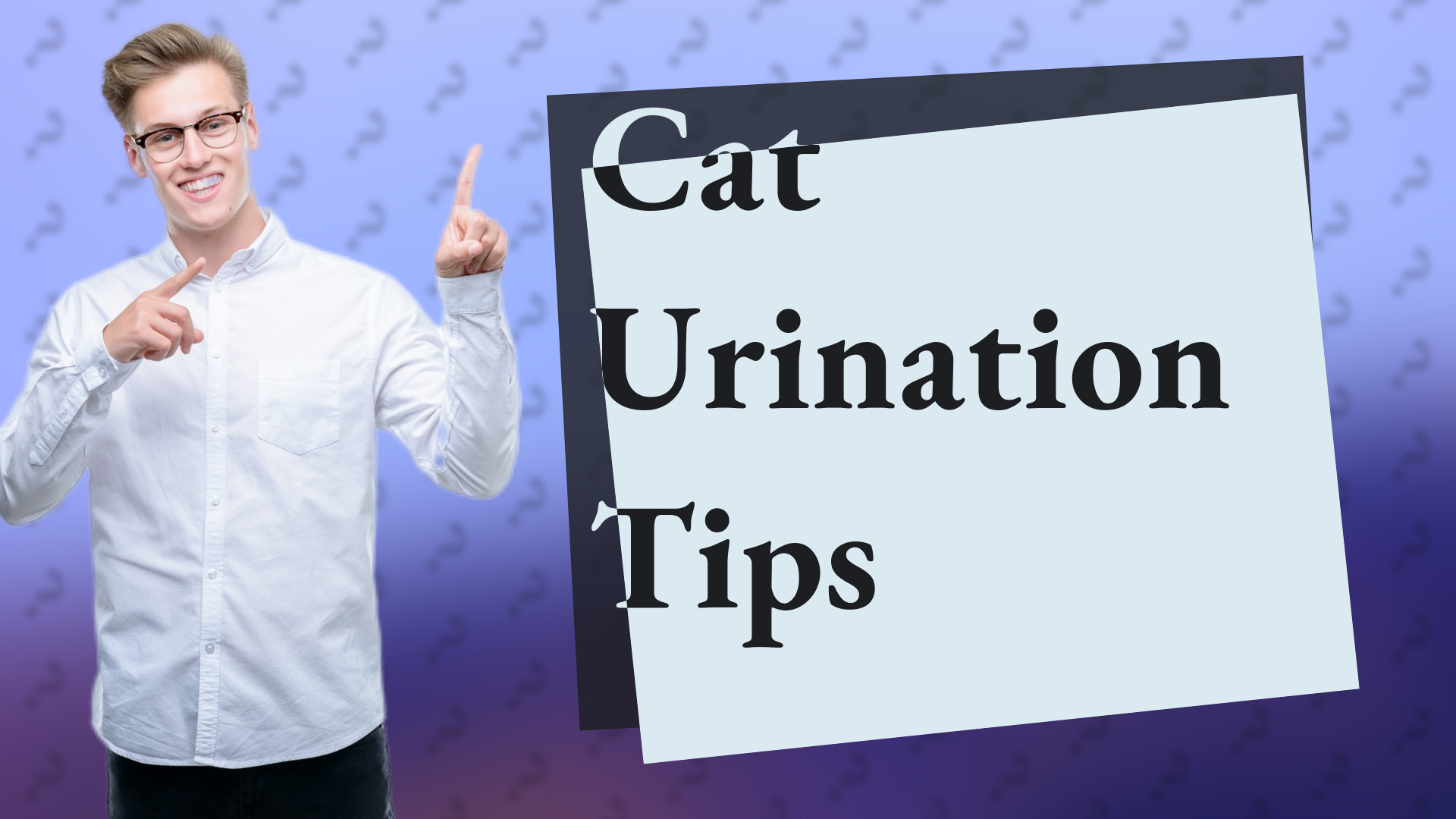 Cat Urination Tips