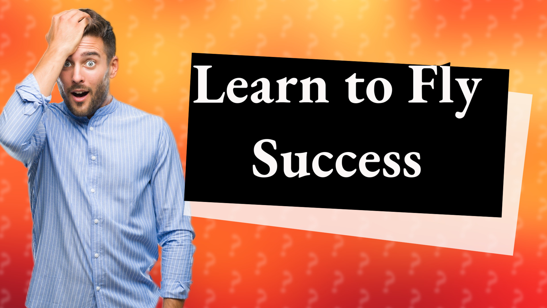 Learn to Fly Success