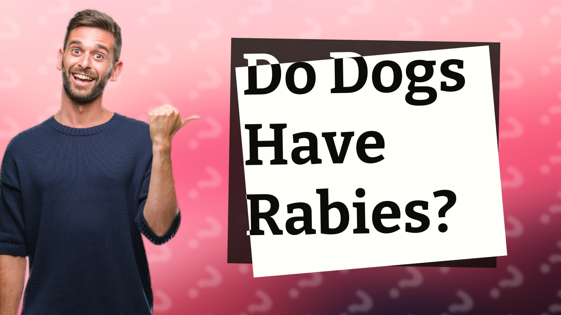 Do Dogs Have Rabies?
