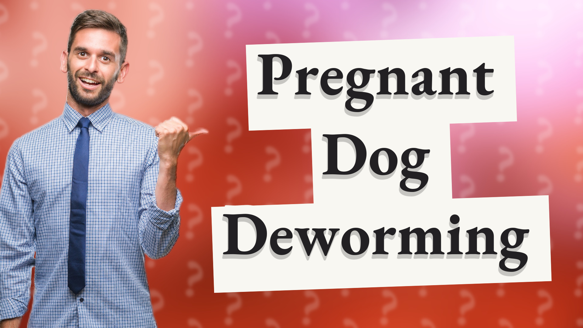 Pregnant Dog Deworming