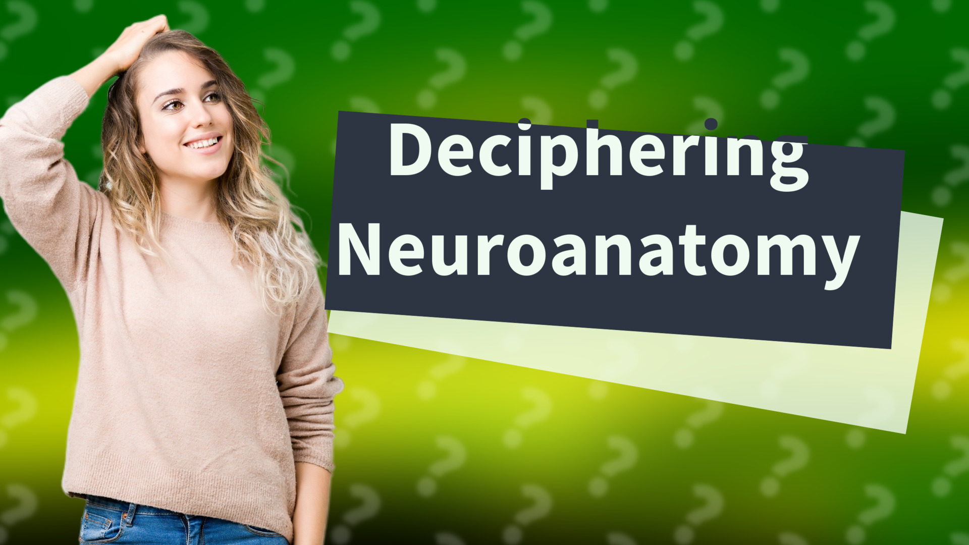 Deciphering Neuroanatomy