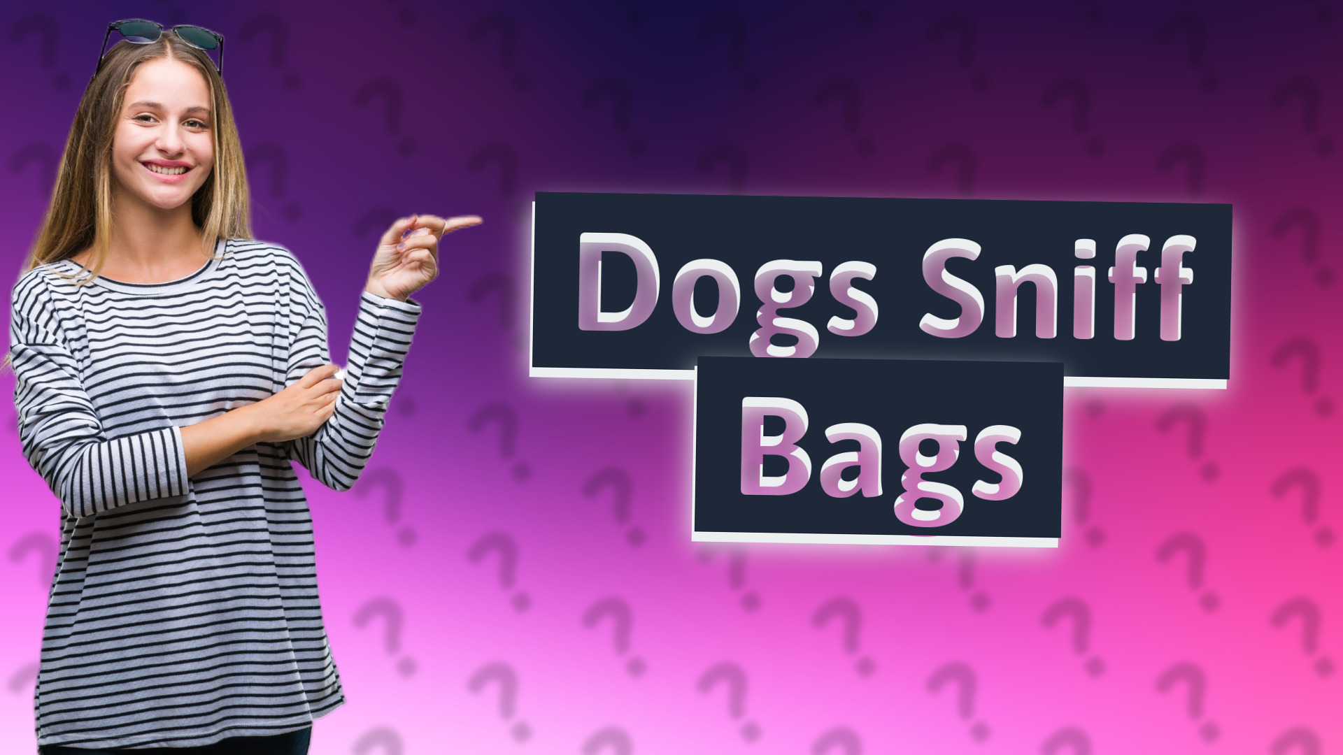 Dogs Sniff Bags