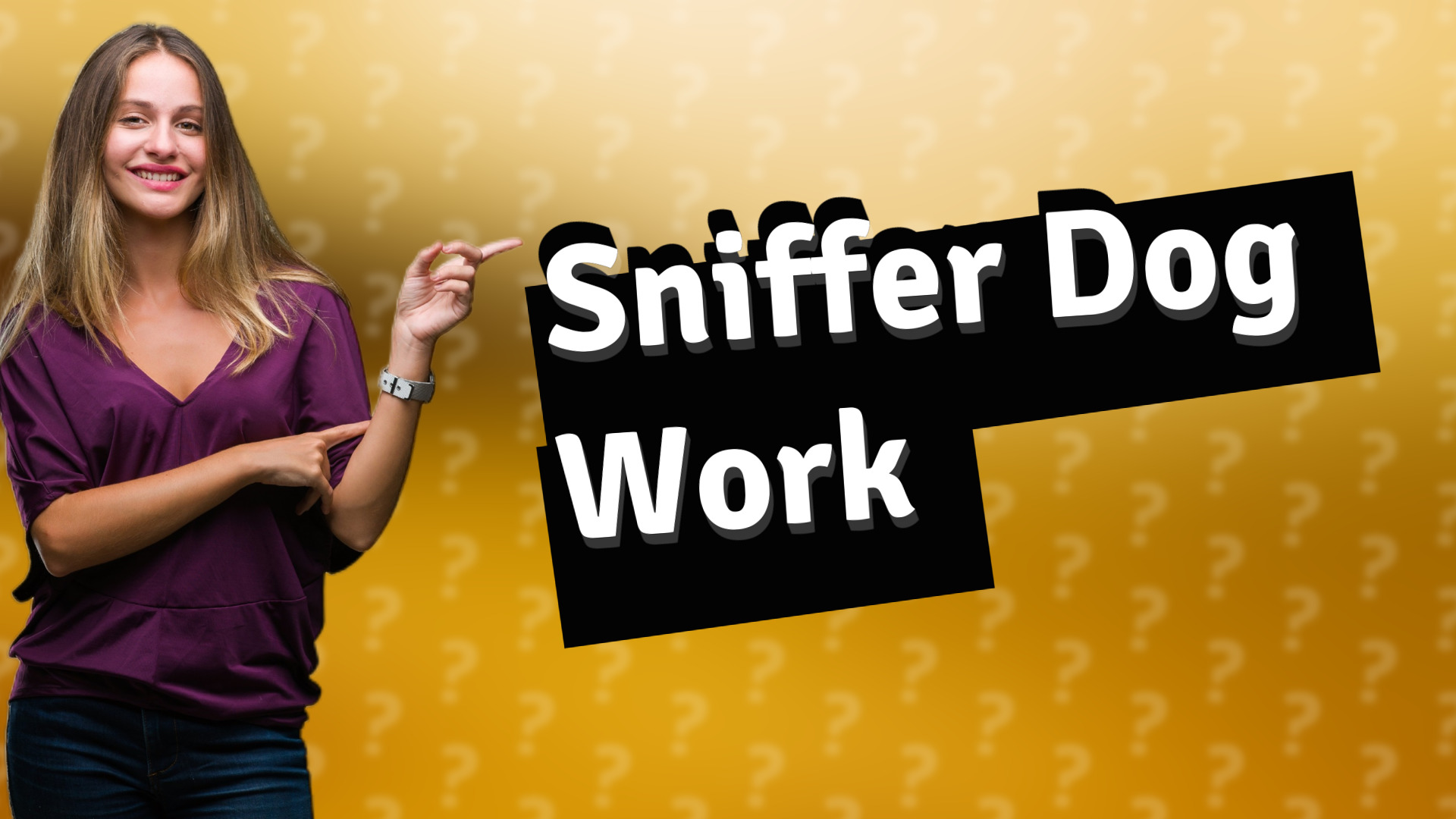Sniffer Dog Work