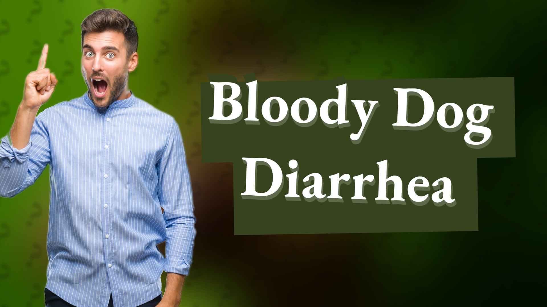Bloody Dog Diarrhea