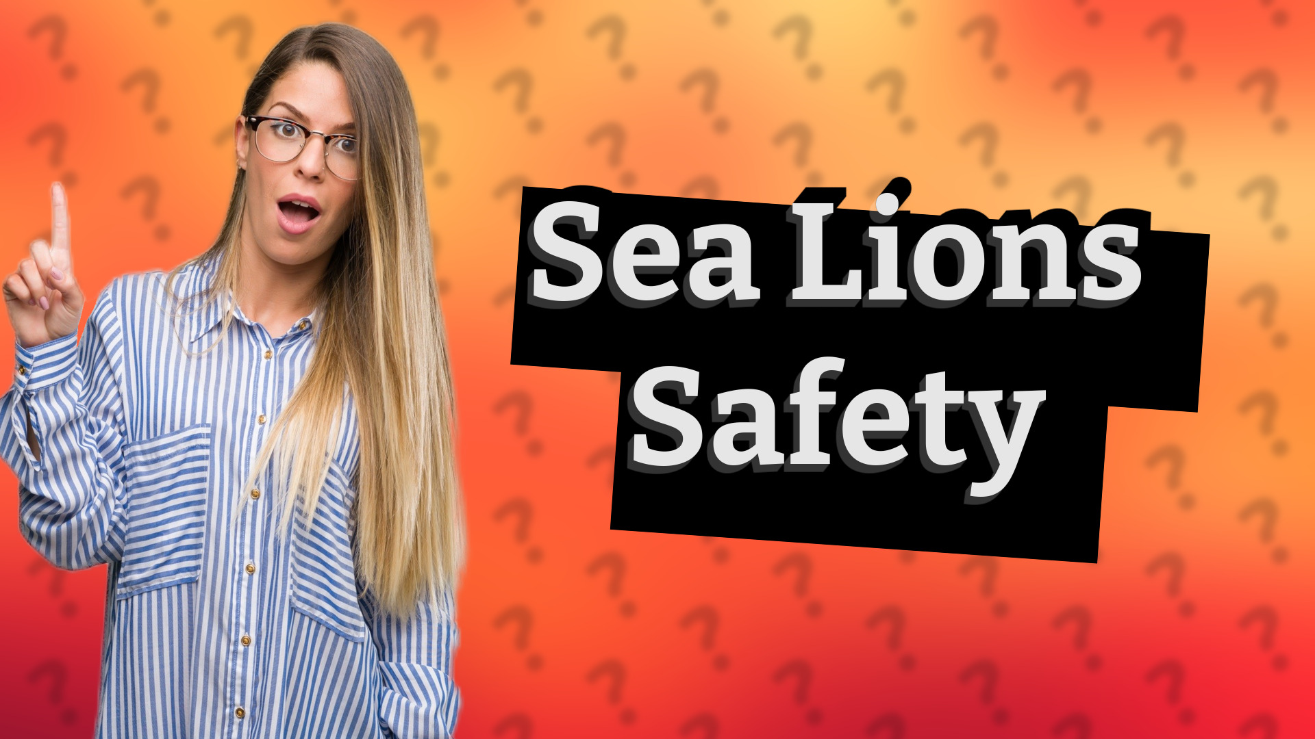 Sea Lions Safety