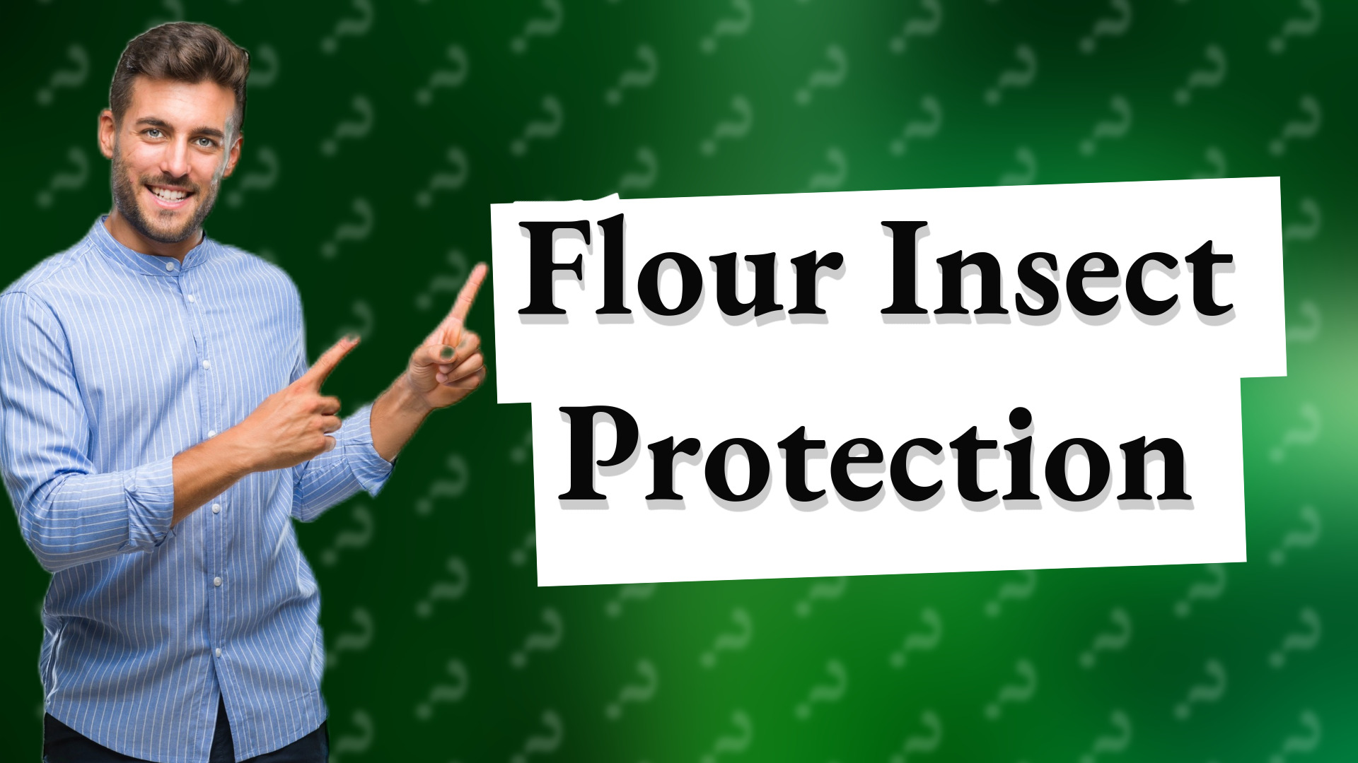 Flour Insect Protection