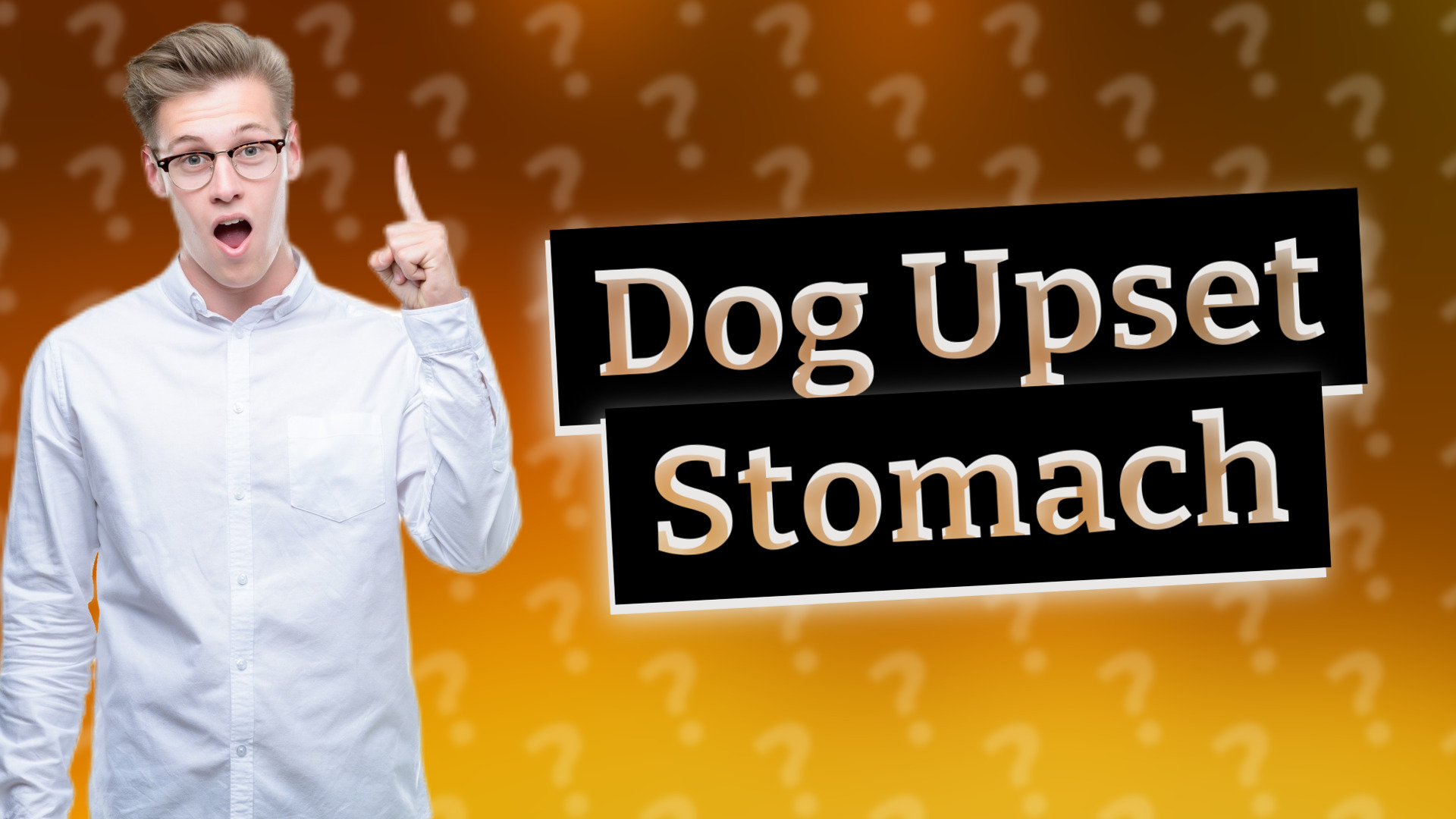 Dog Upset Stomach
