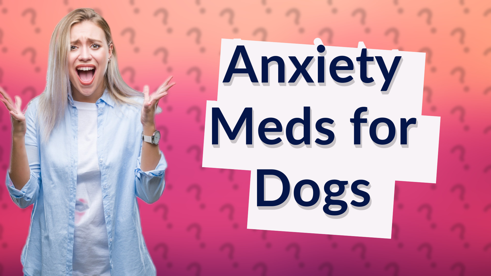Anxiety Meds for Dogs