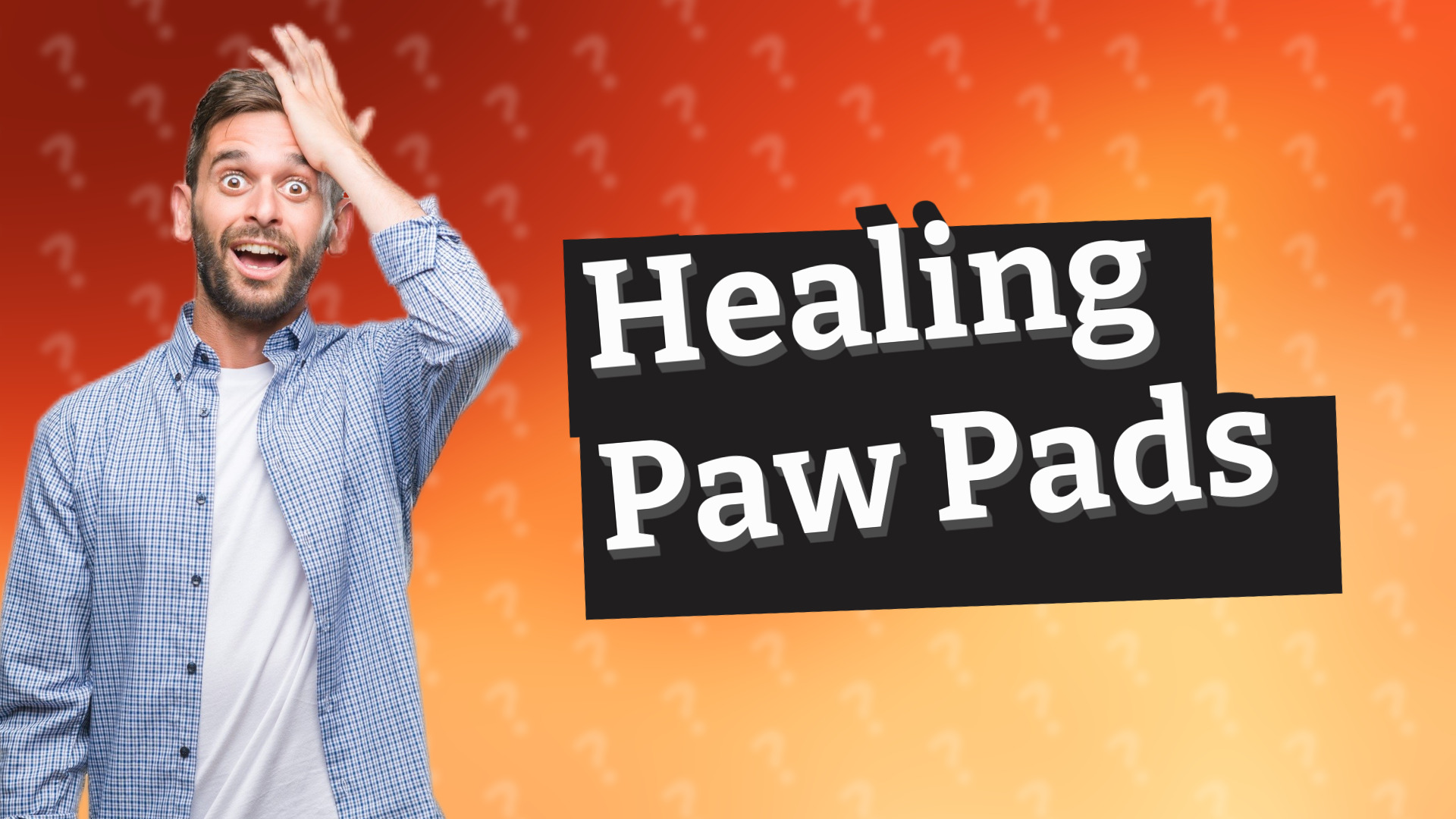 Healing Paw Pads