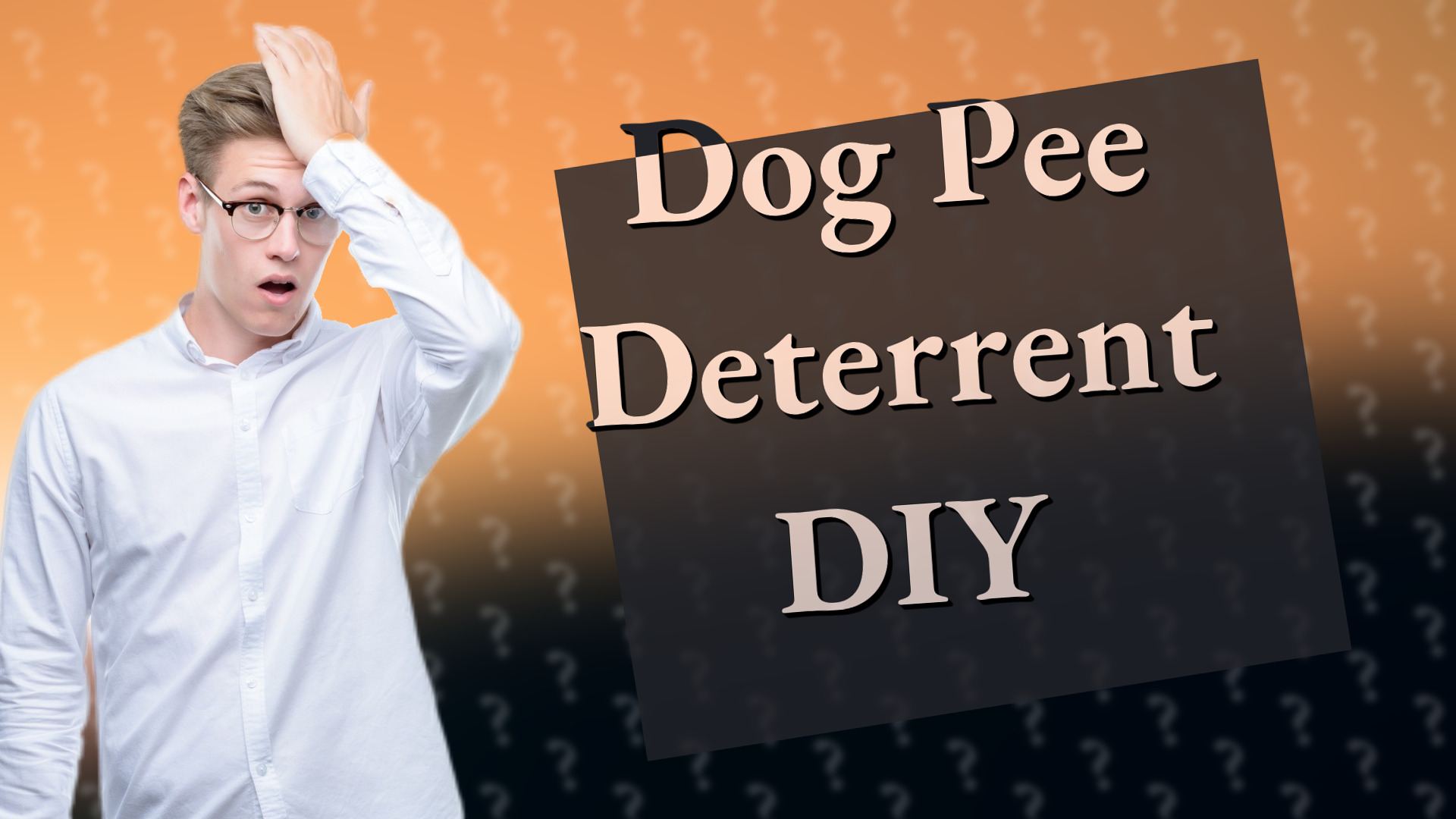 Dog Pee Deterrent DIY