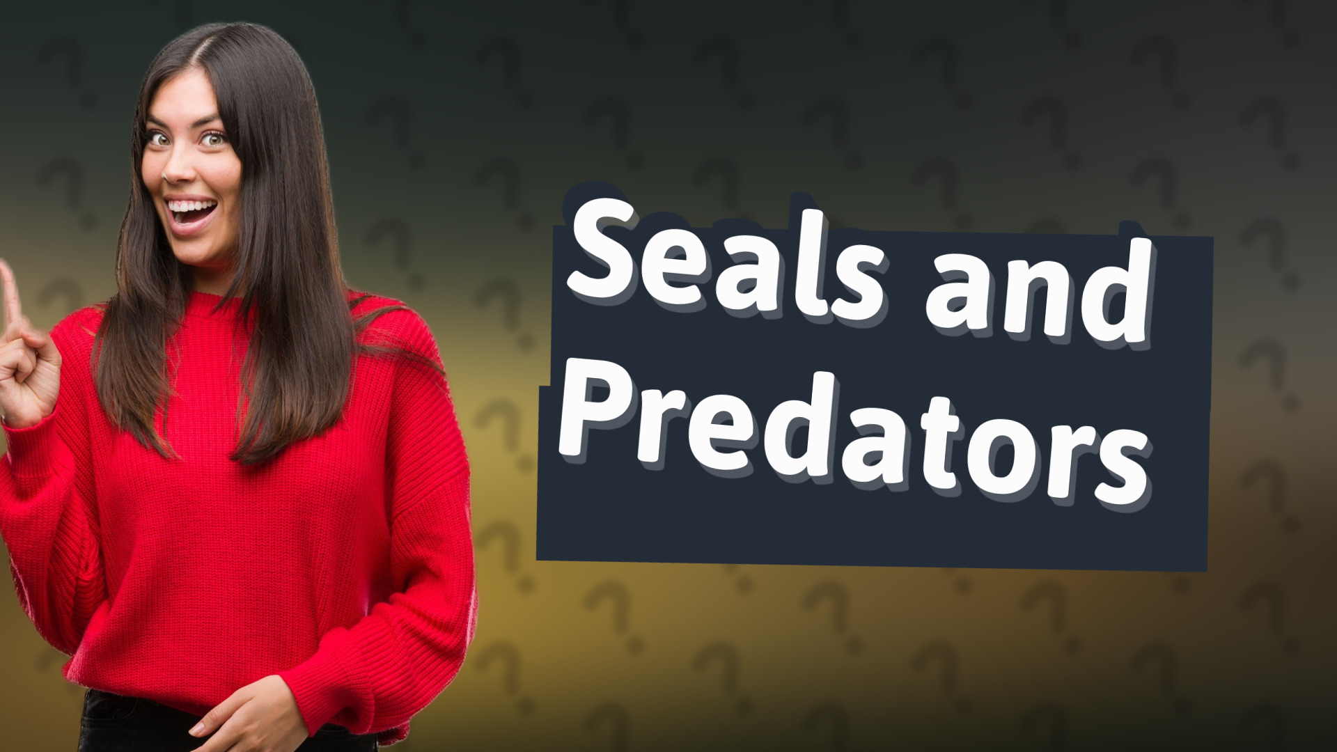 Seals and Predators