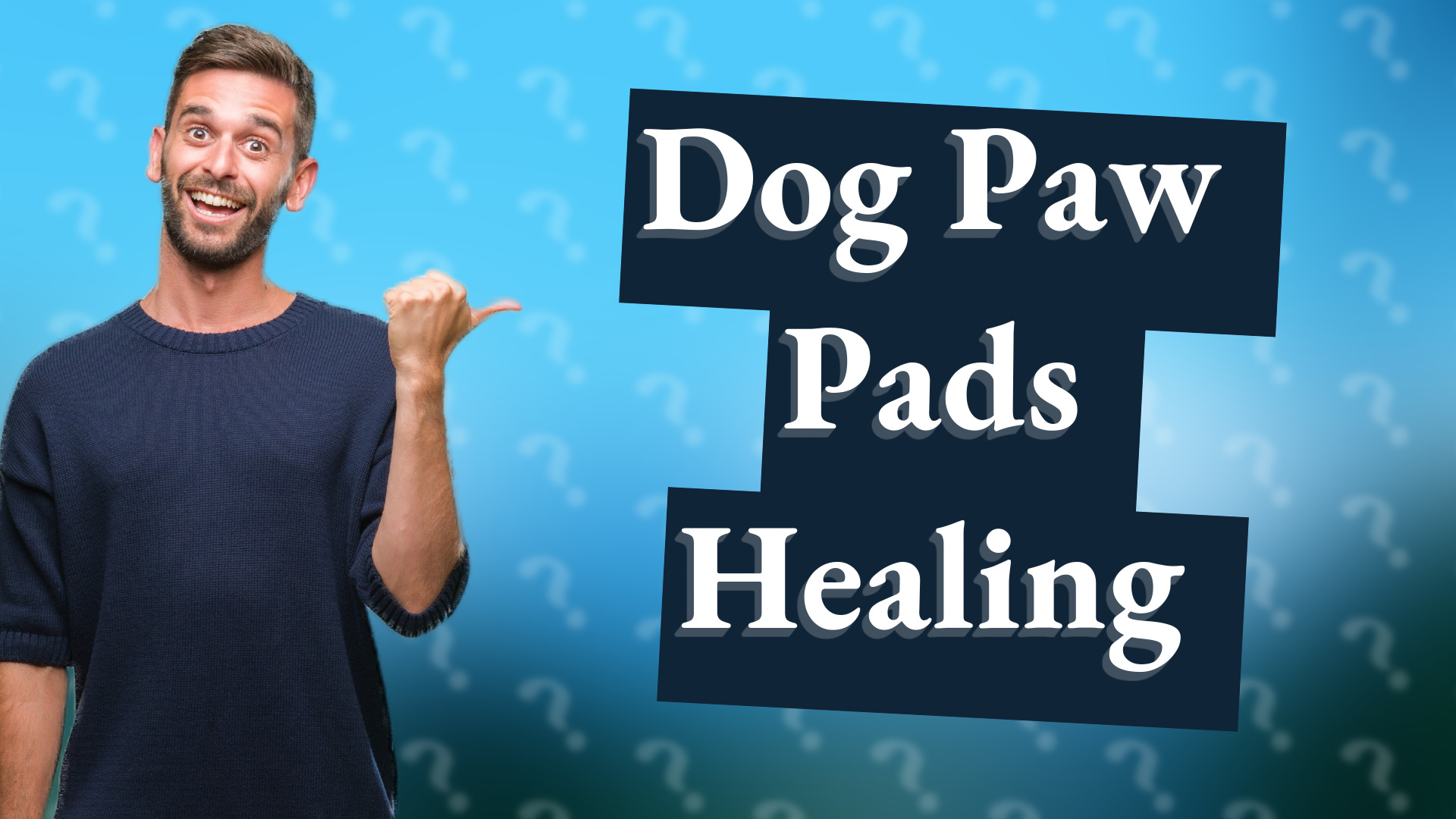 Dog Paw Pads Healing