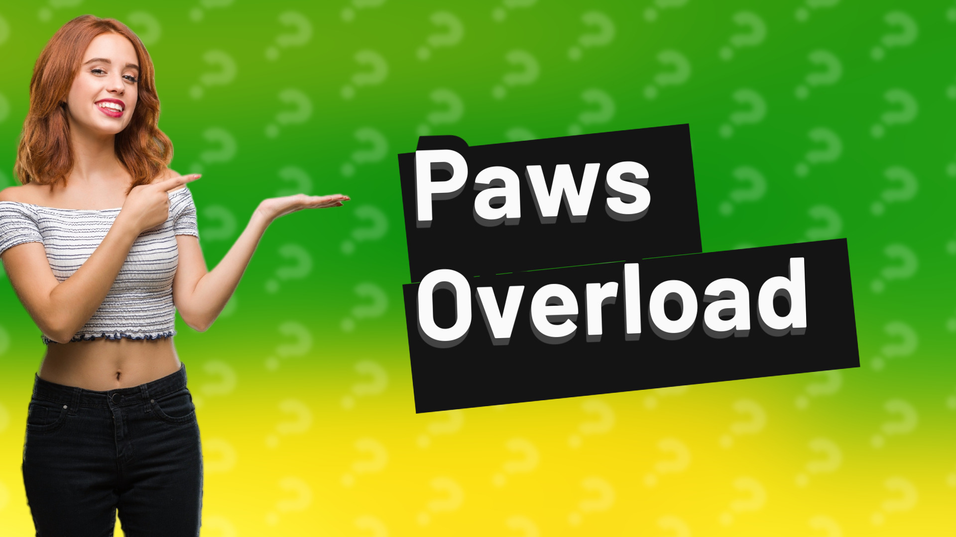 Paws Overload