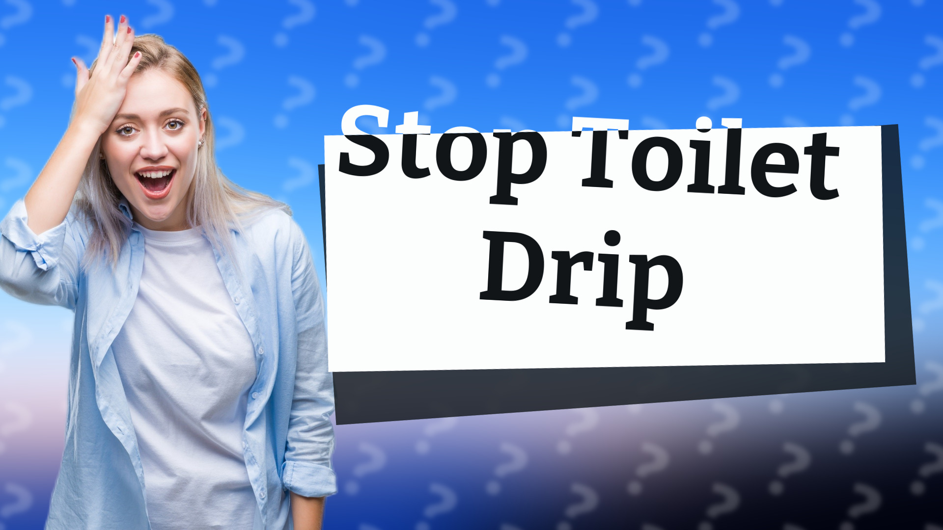 Stop Toilet Drip