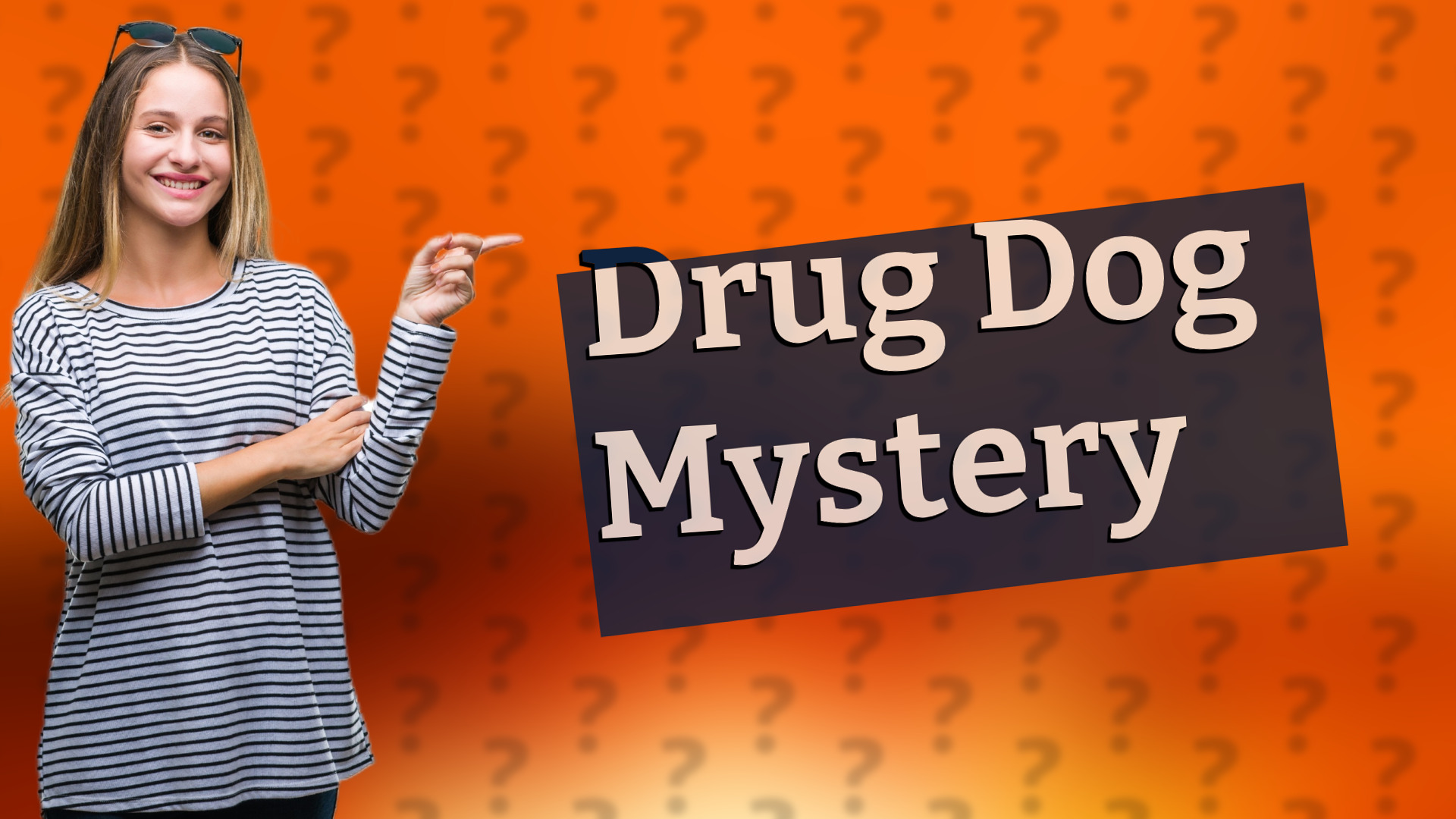 Drug Dog Mystery