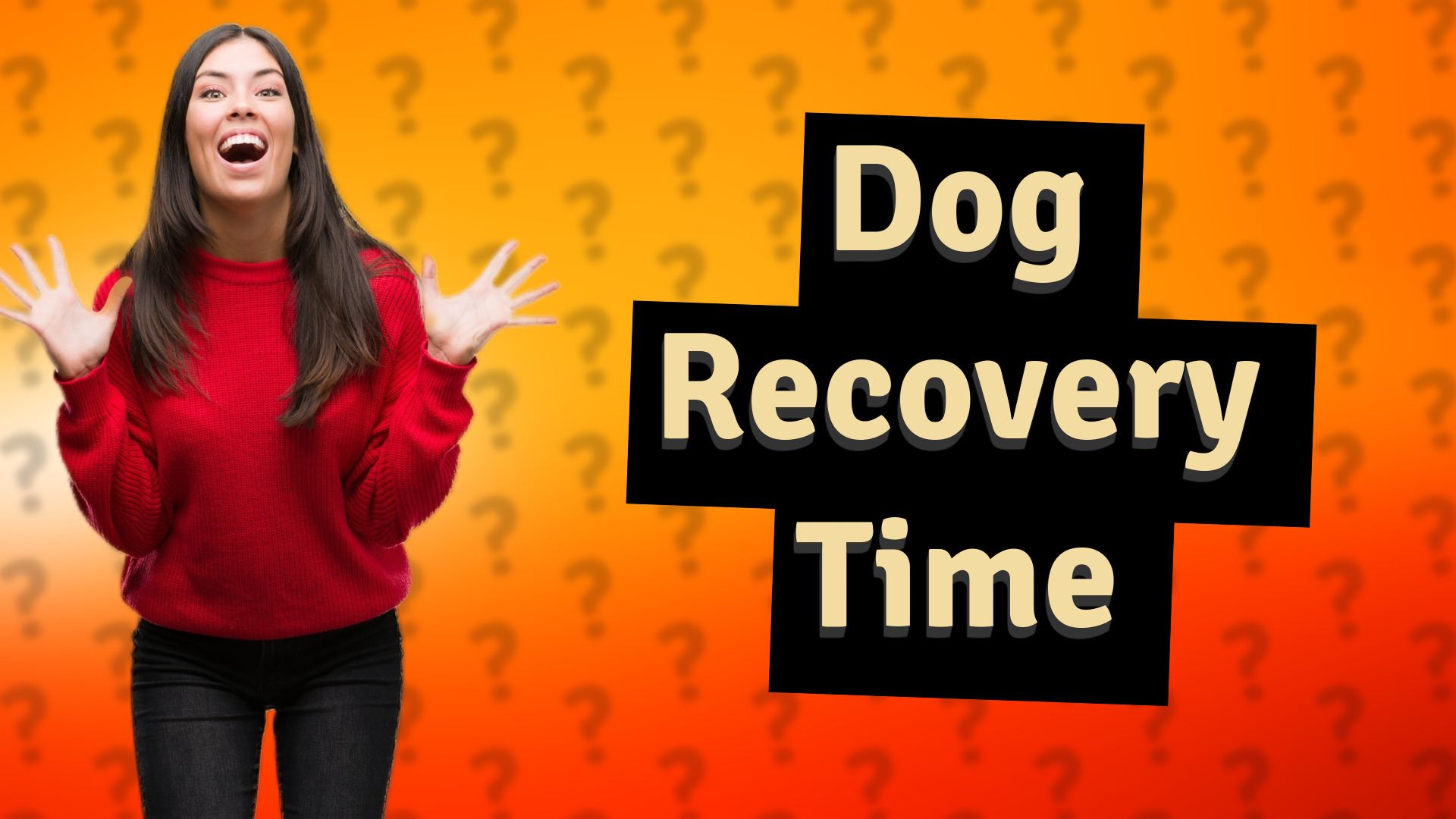 Dog Recovery Time