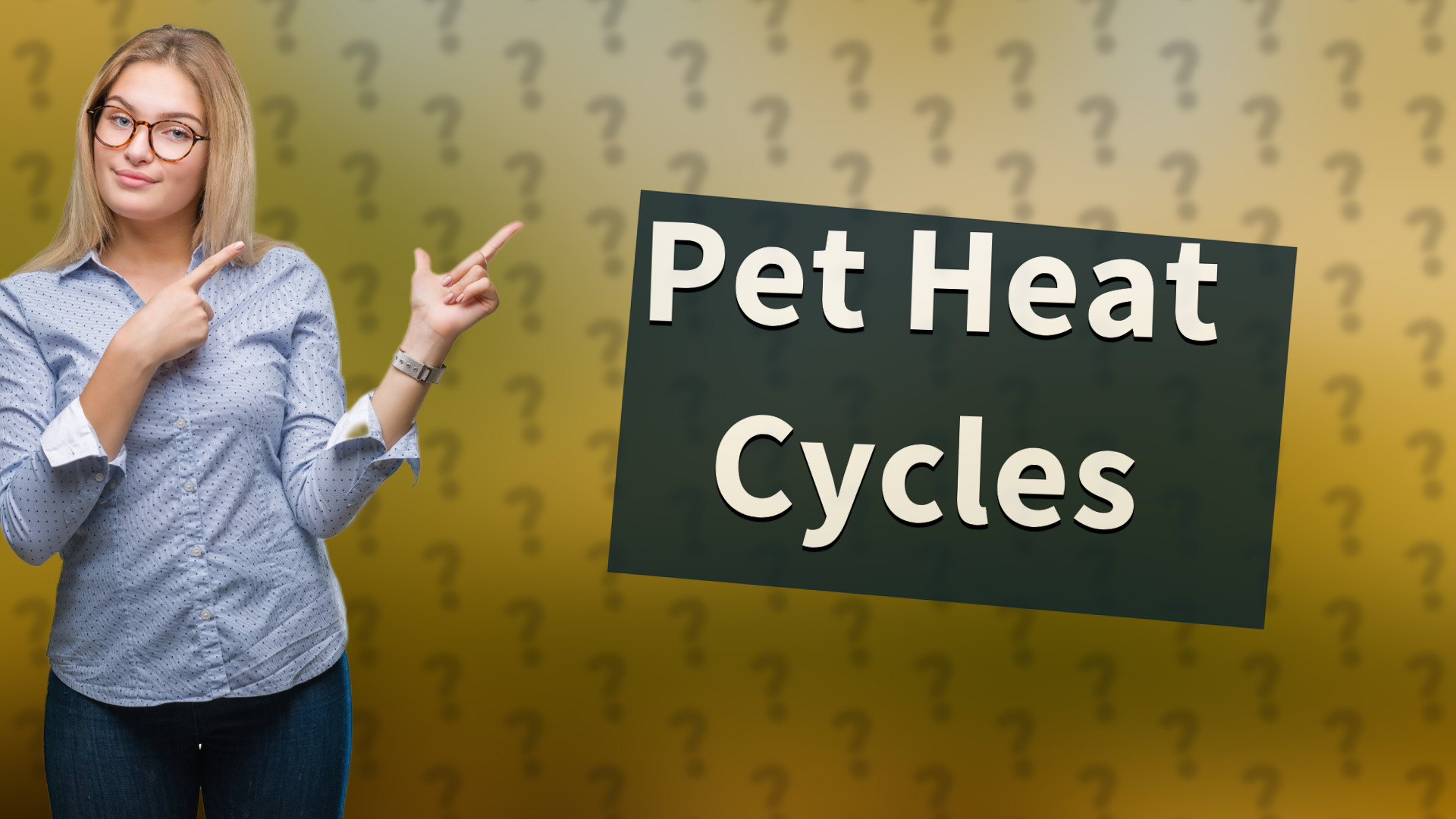 Pet Heat Cycles