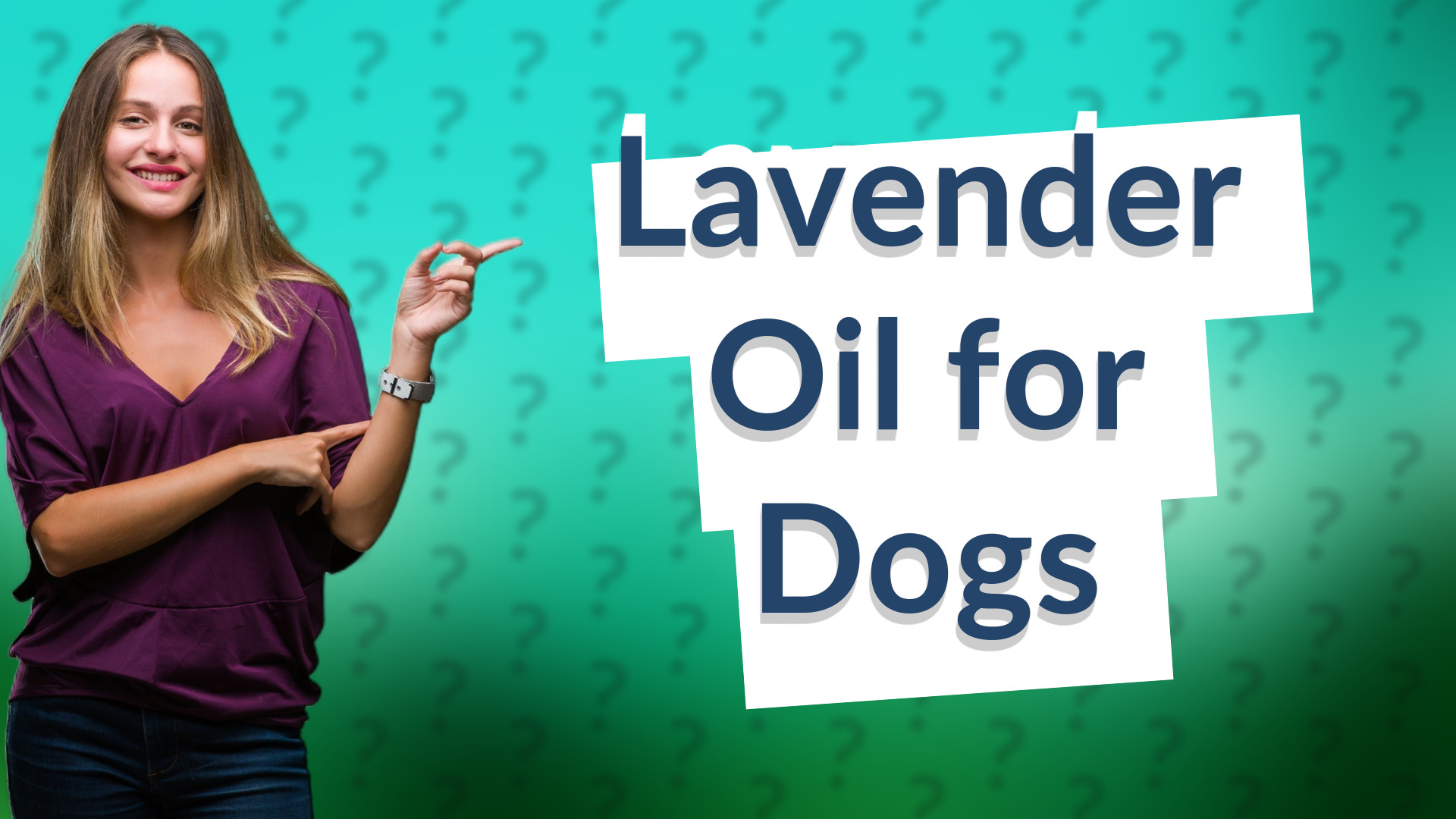 Lavender Oil for Dogs