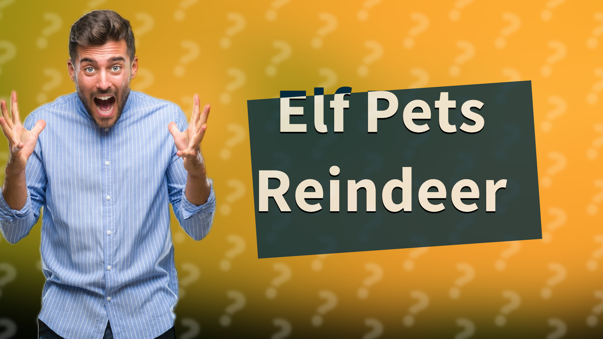 Elf Pets Reindeer