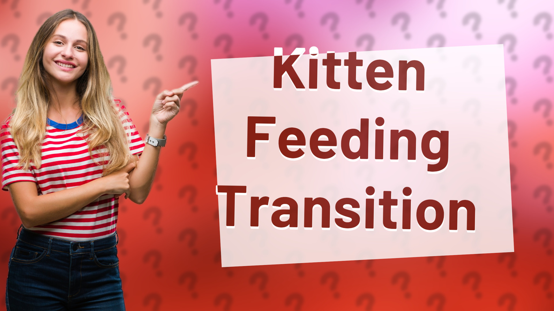 Kitten Feeding Transition