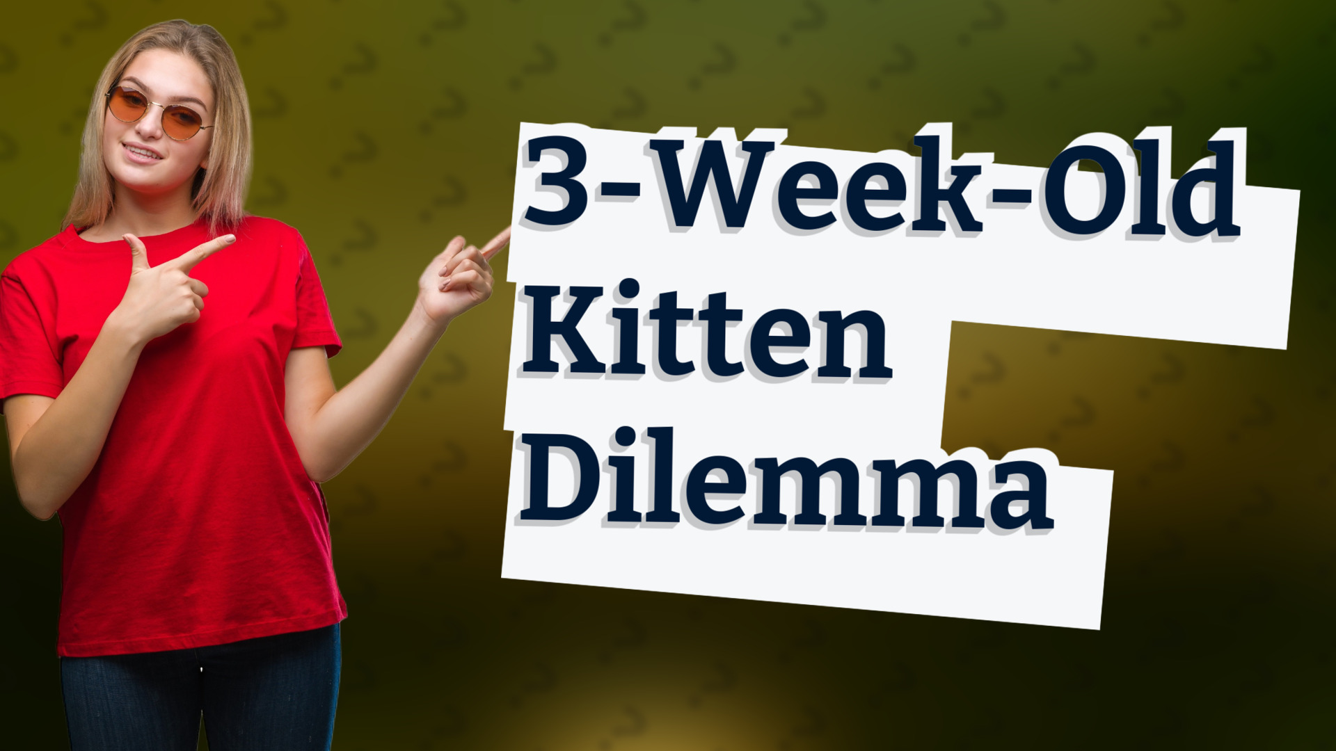 3-Week-Old Kitten Dilemma