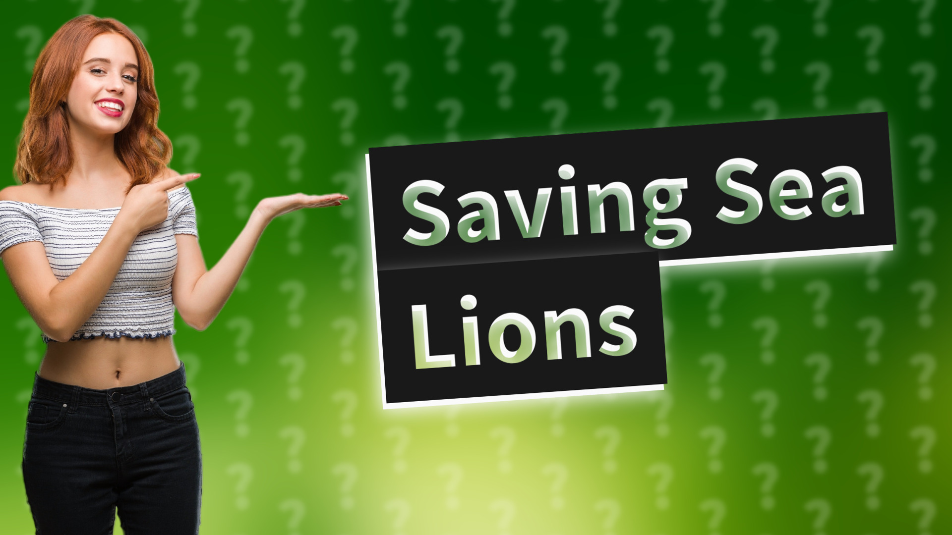 Saving Sea Lions